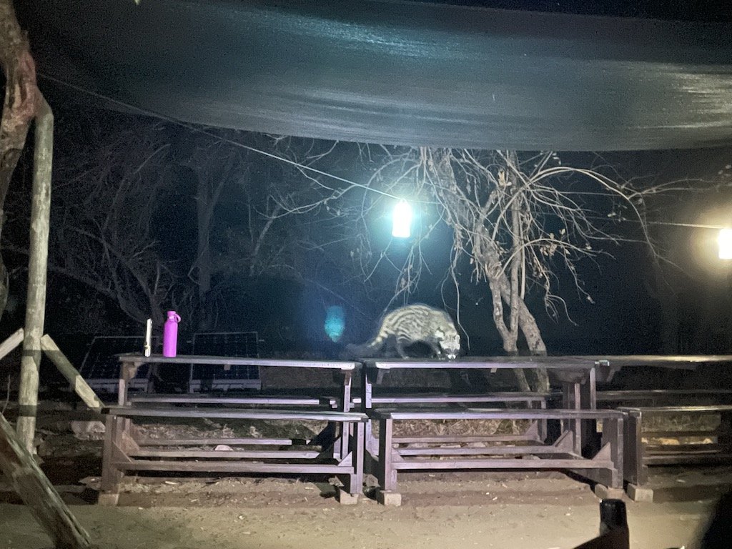 Civet Dinner Table