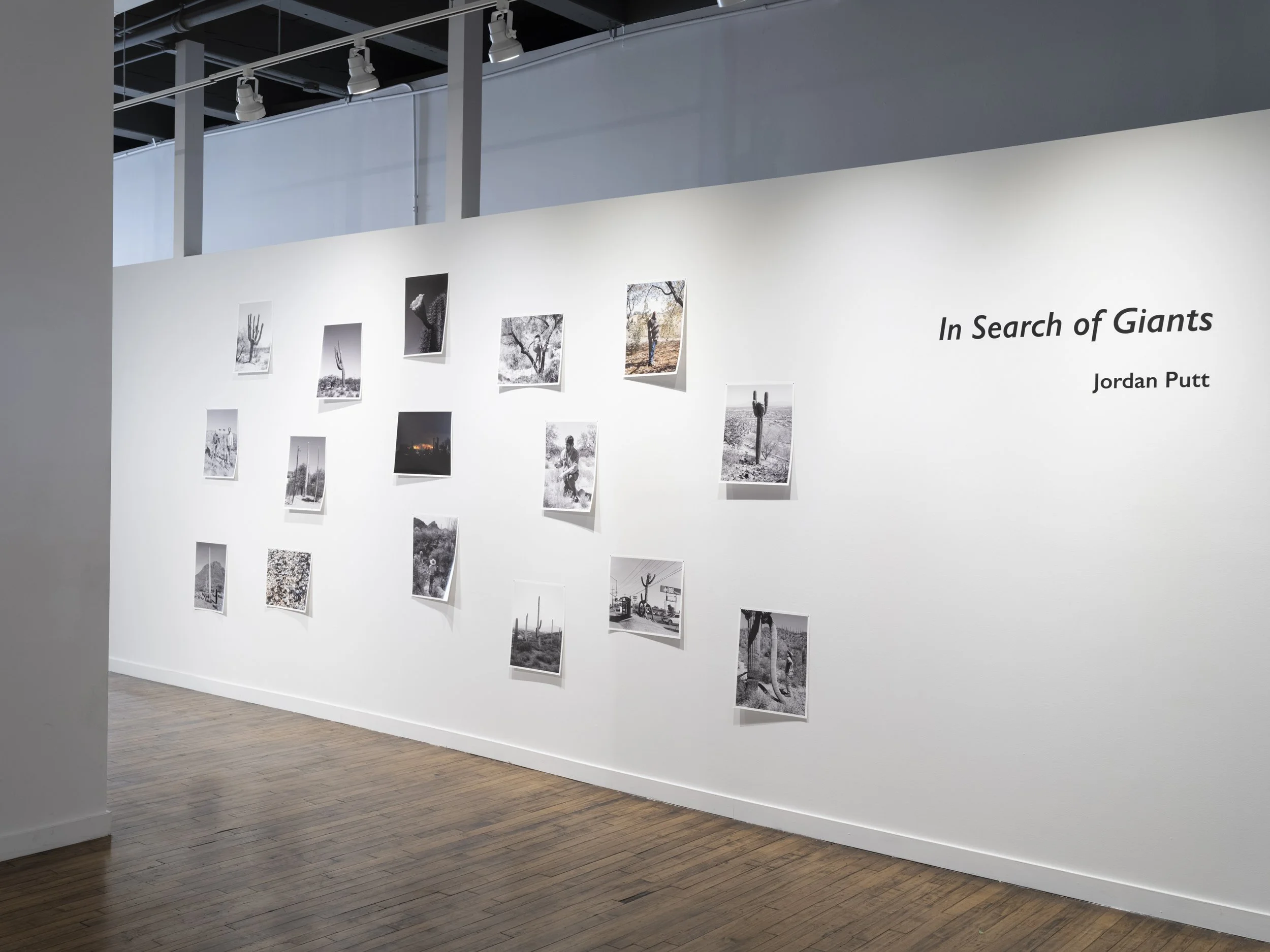 In Search of Giants at Filter Space, Chicago, 2025