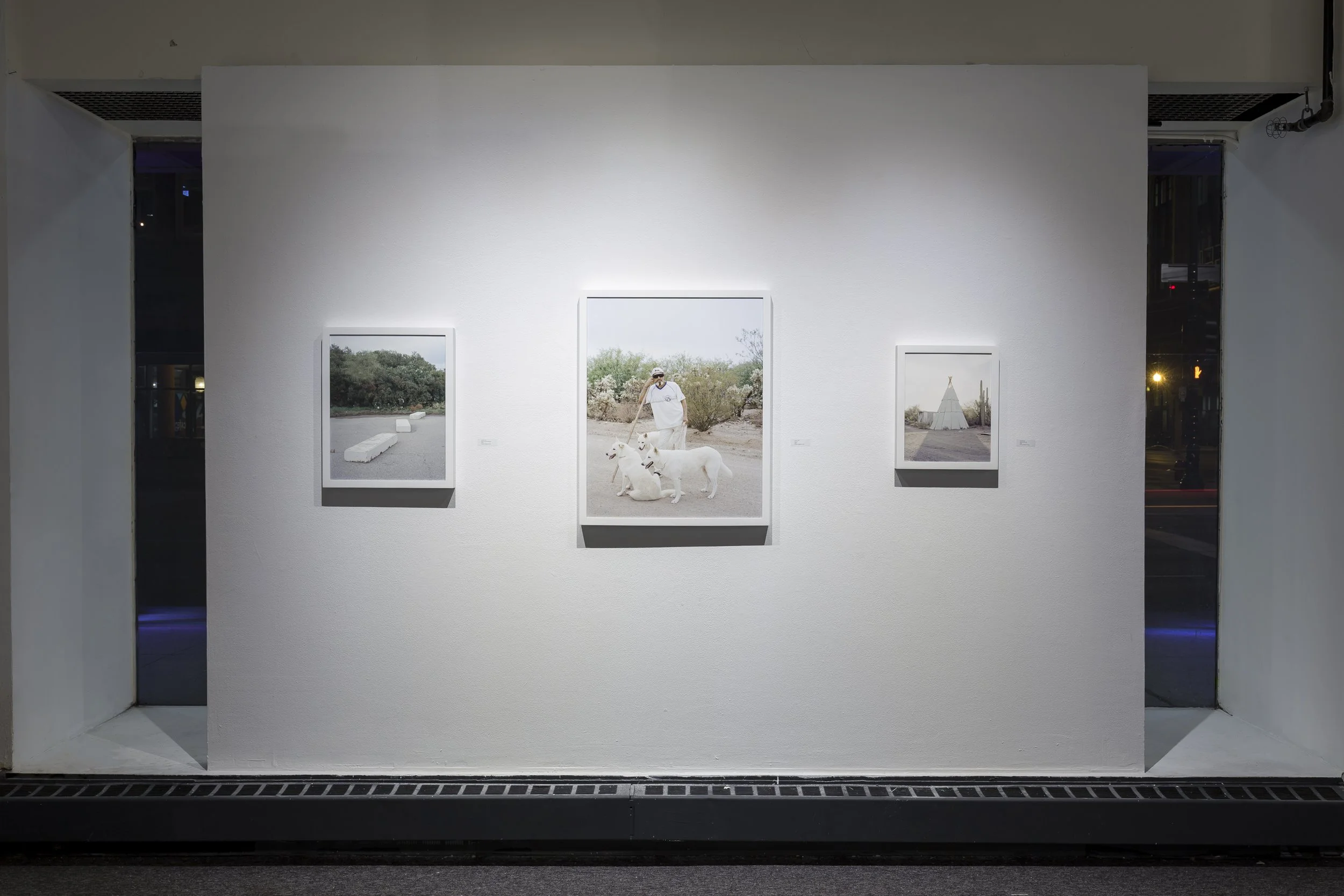Field Book at C33 Gallery at Columbia College Chicago, 2019