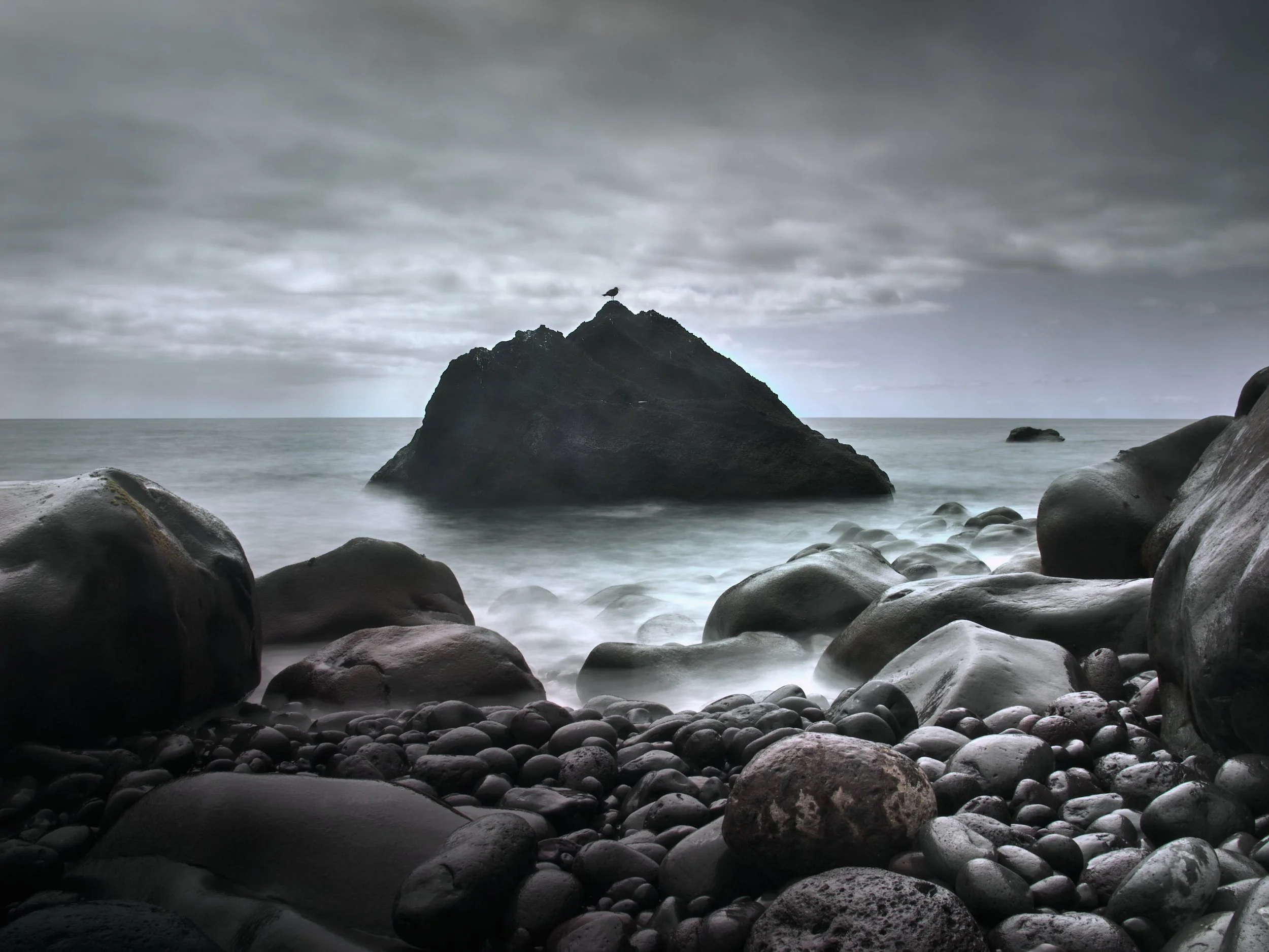 Jul 09 2023 P1014866.jpg