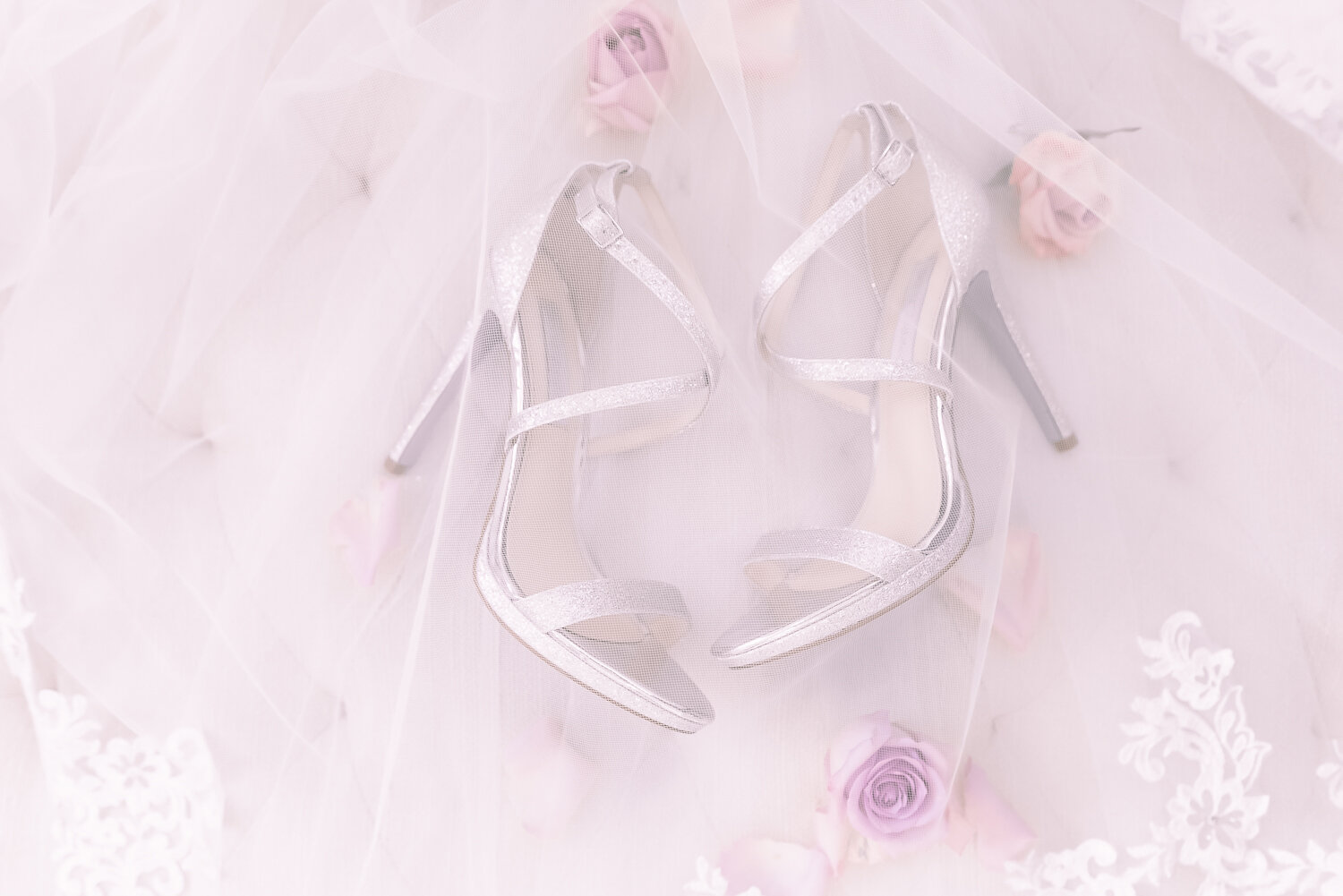 Best Houston Wedding Photographer. Trusted, Romantic Wedding - Elopement Artist Storytelling
Christian Destination Travel wedding photographers, houston wedding photographers, katy wedding photographers, engagement session, the south asia indian ame