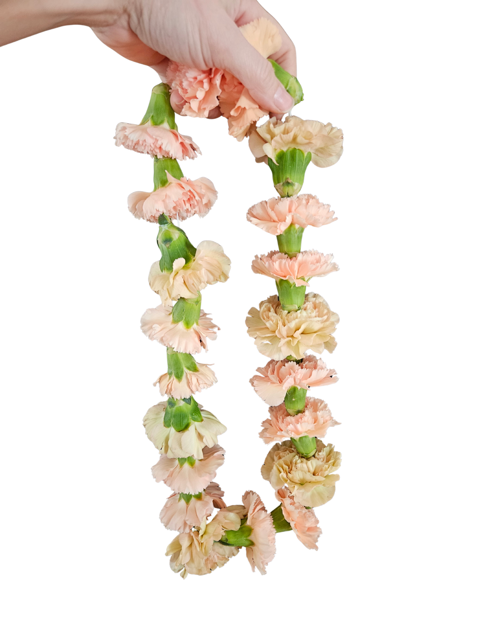 Carnation Lei.png