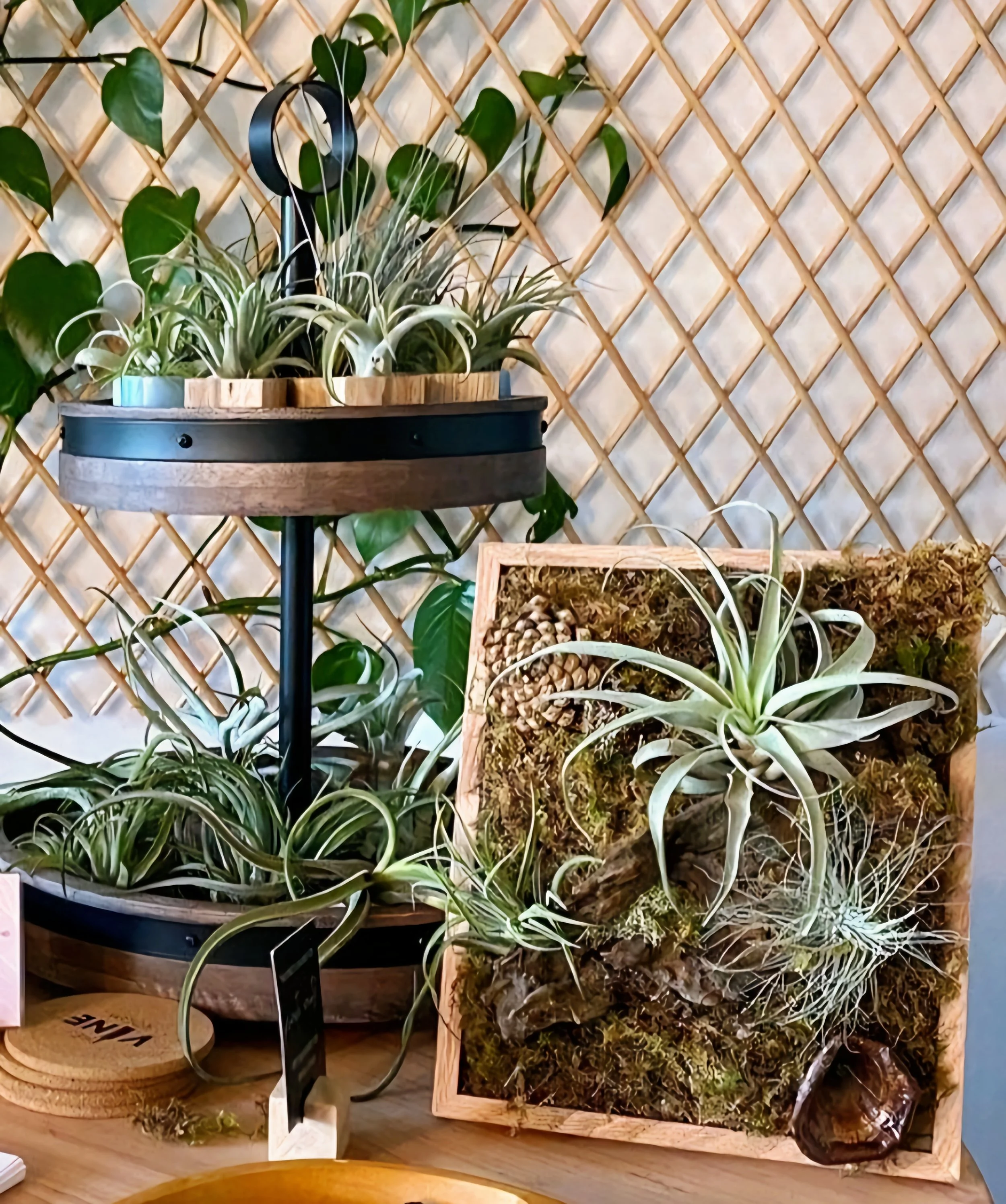 Living Art Workshop at Vine Room.jpg