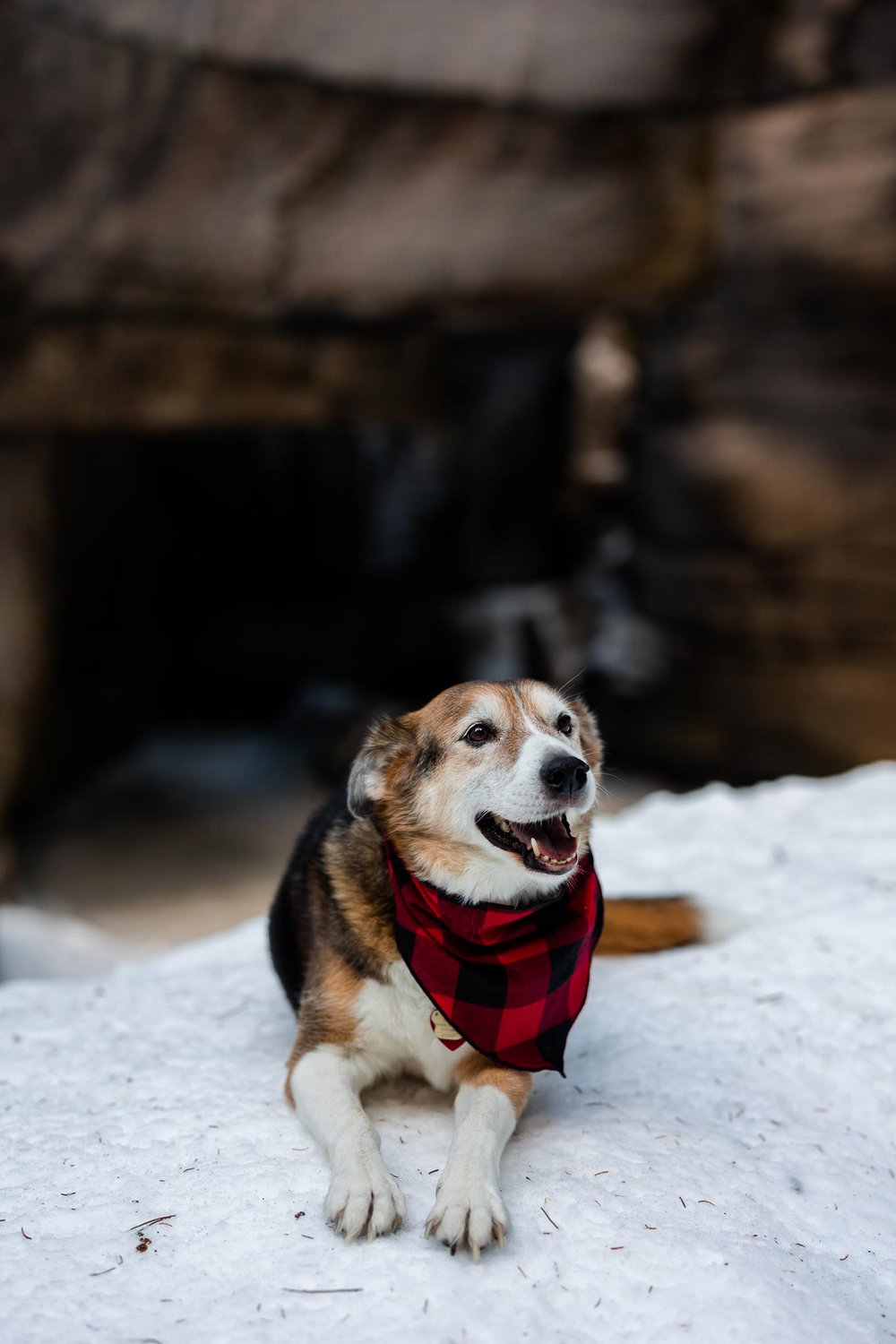 maligne-canyon-winter-adventure-photo-013.jpg