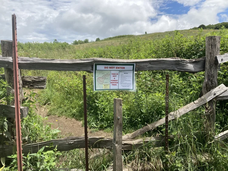 Why Staying on Trail is Important — Max Patch, NC