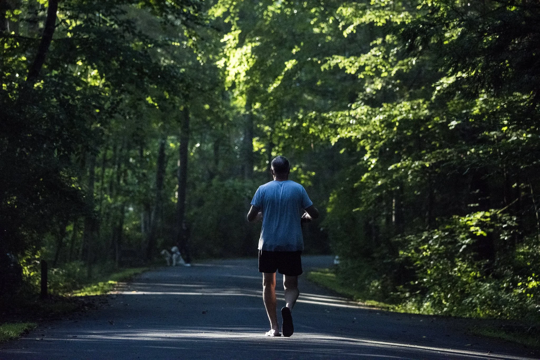 jogger in Pisgah National Forest