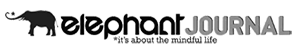 elph1.png