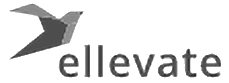 elv1.png