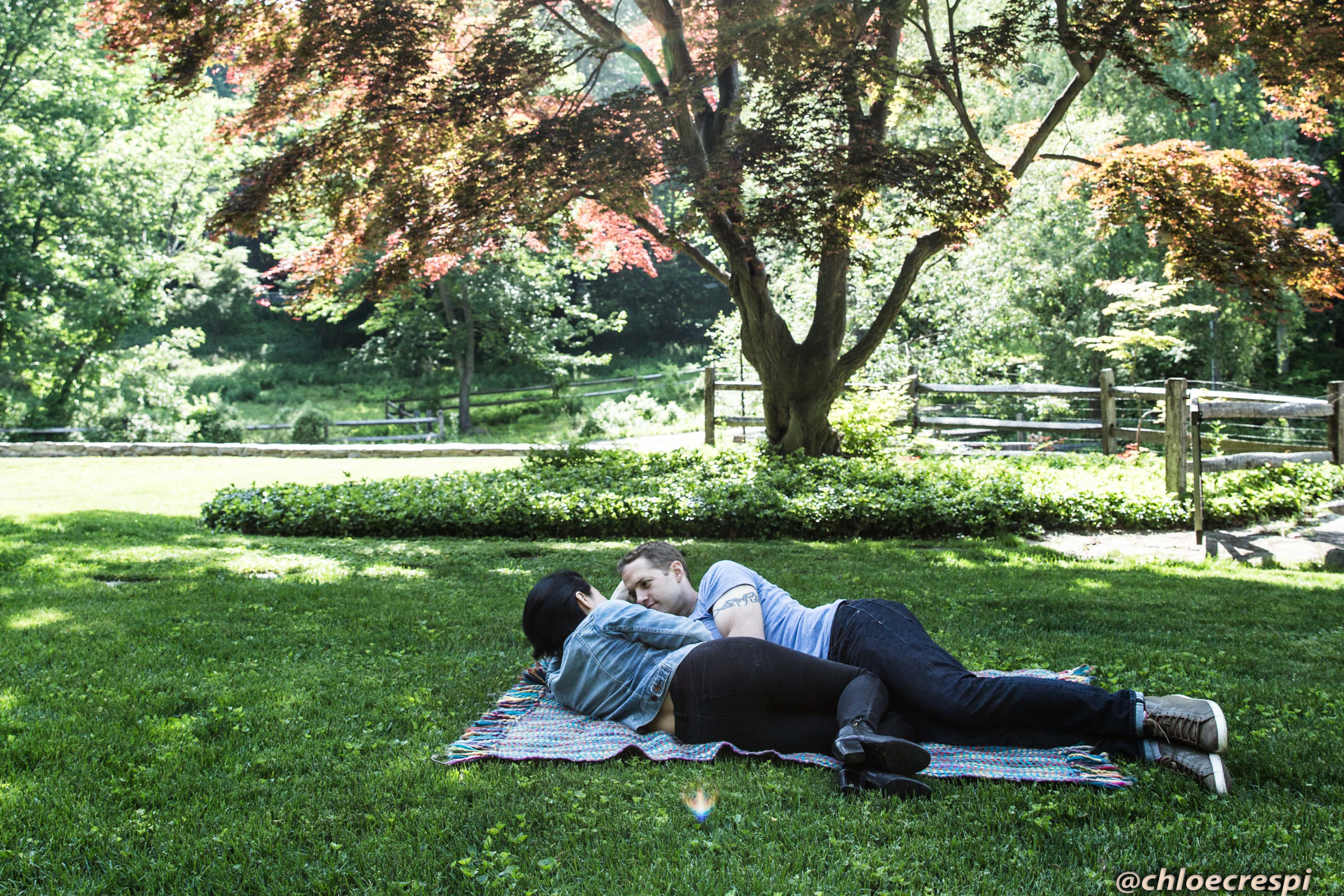 Couple lying on a blanket in a grassy park under a tree.