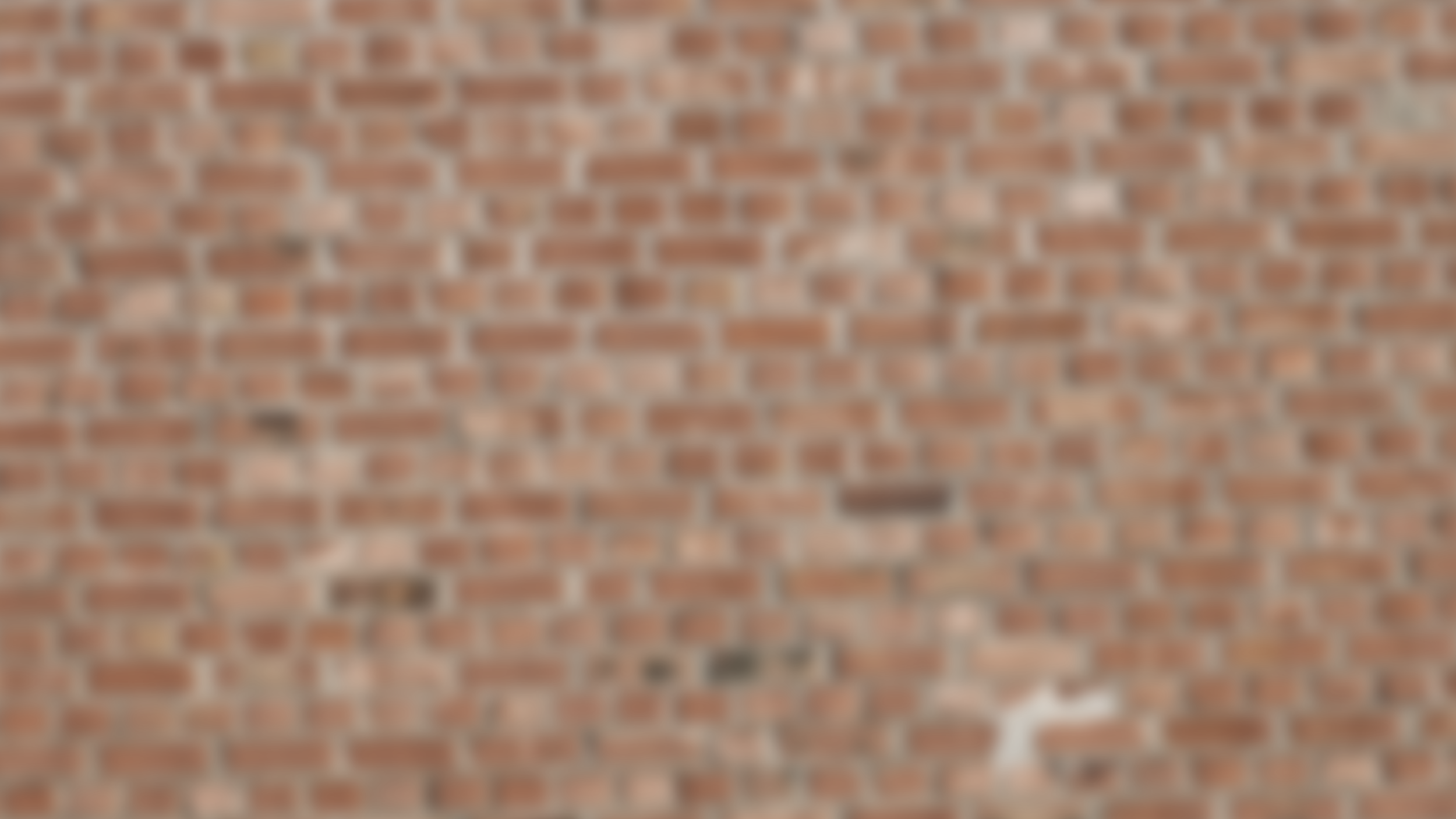 lauriebrick.png