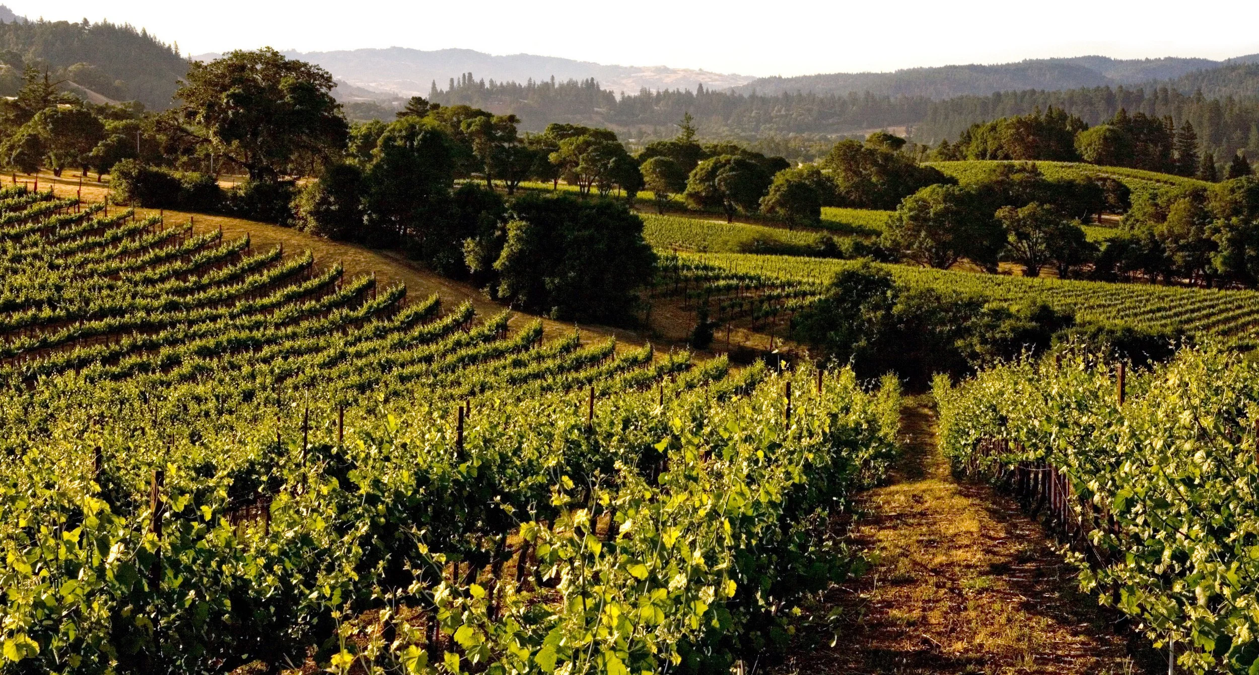 Are we still debating over what terroir means?