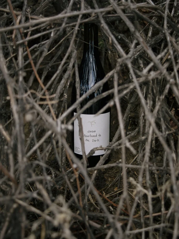 The best Gamay to drink from Canada