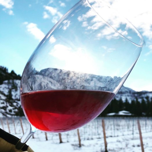 The best red wines from Canada, explained 