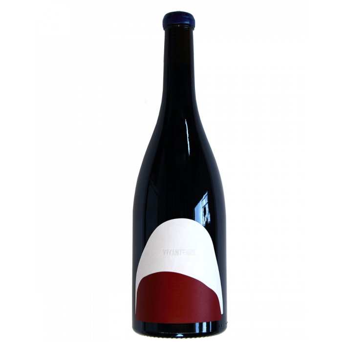 Wines to get you through lockdown