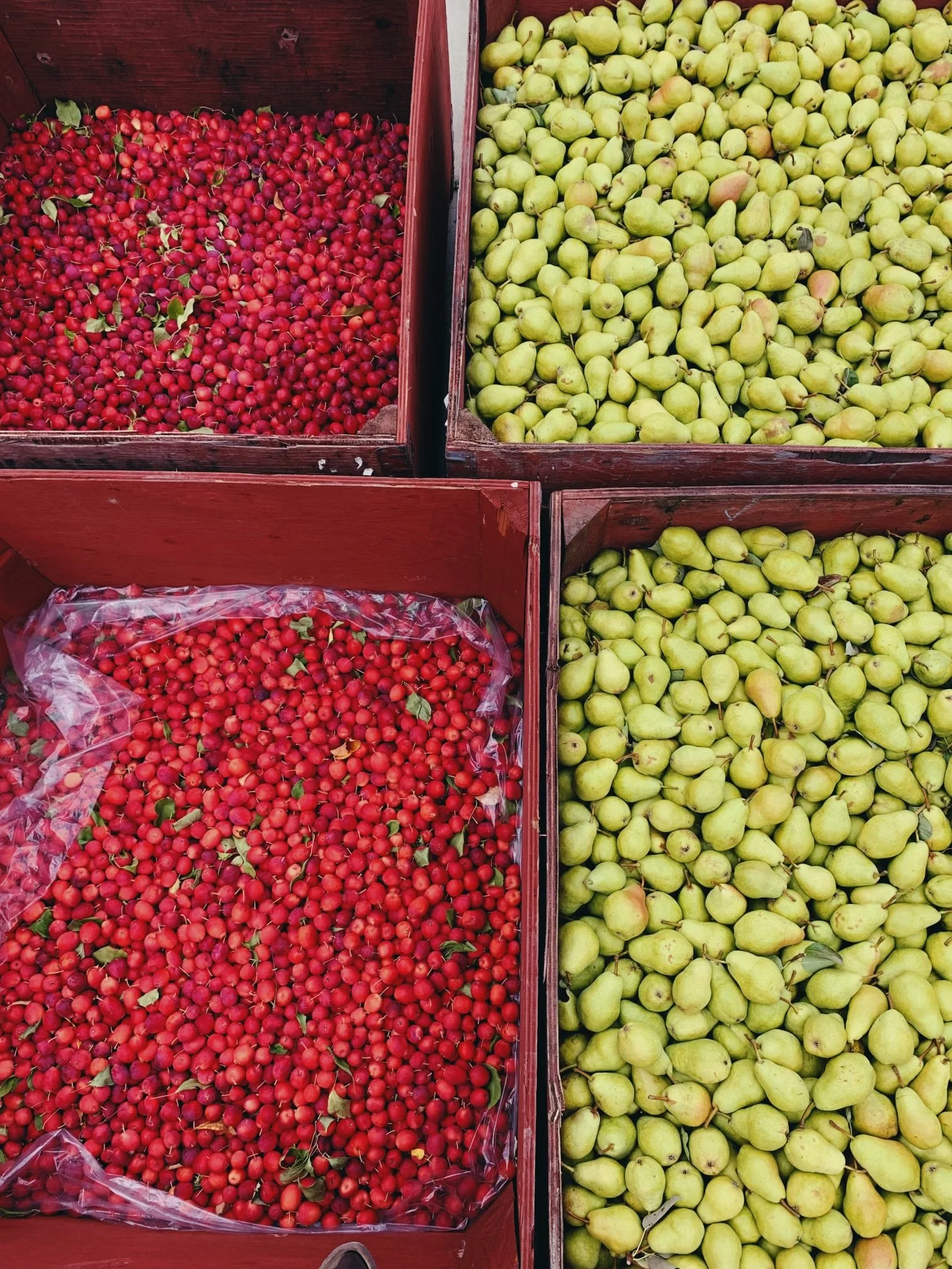 Here’s why you need to be drinking cider