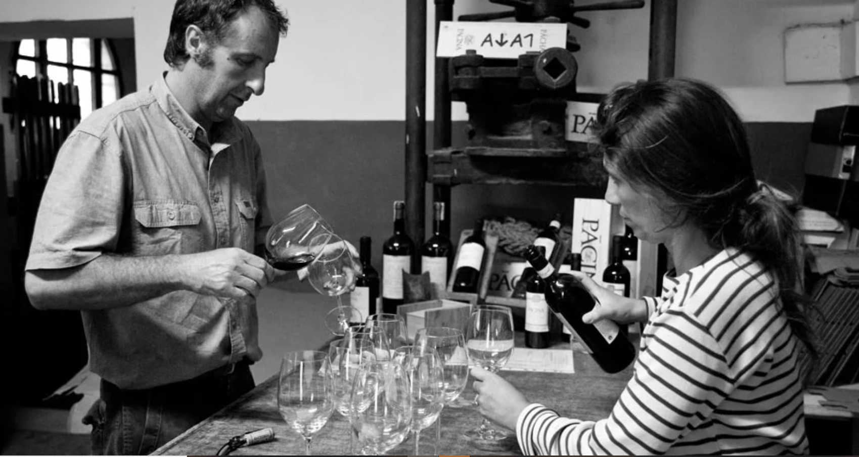 Pācina: Making wine in the same way as our ancestors