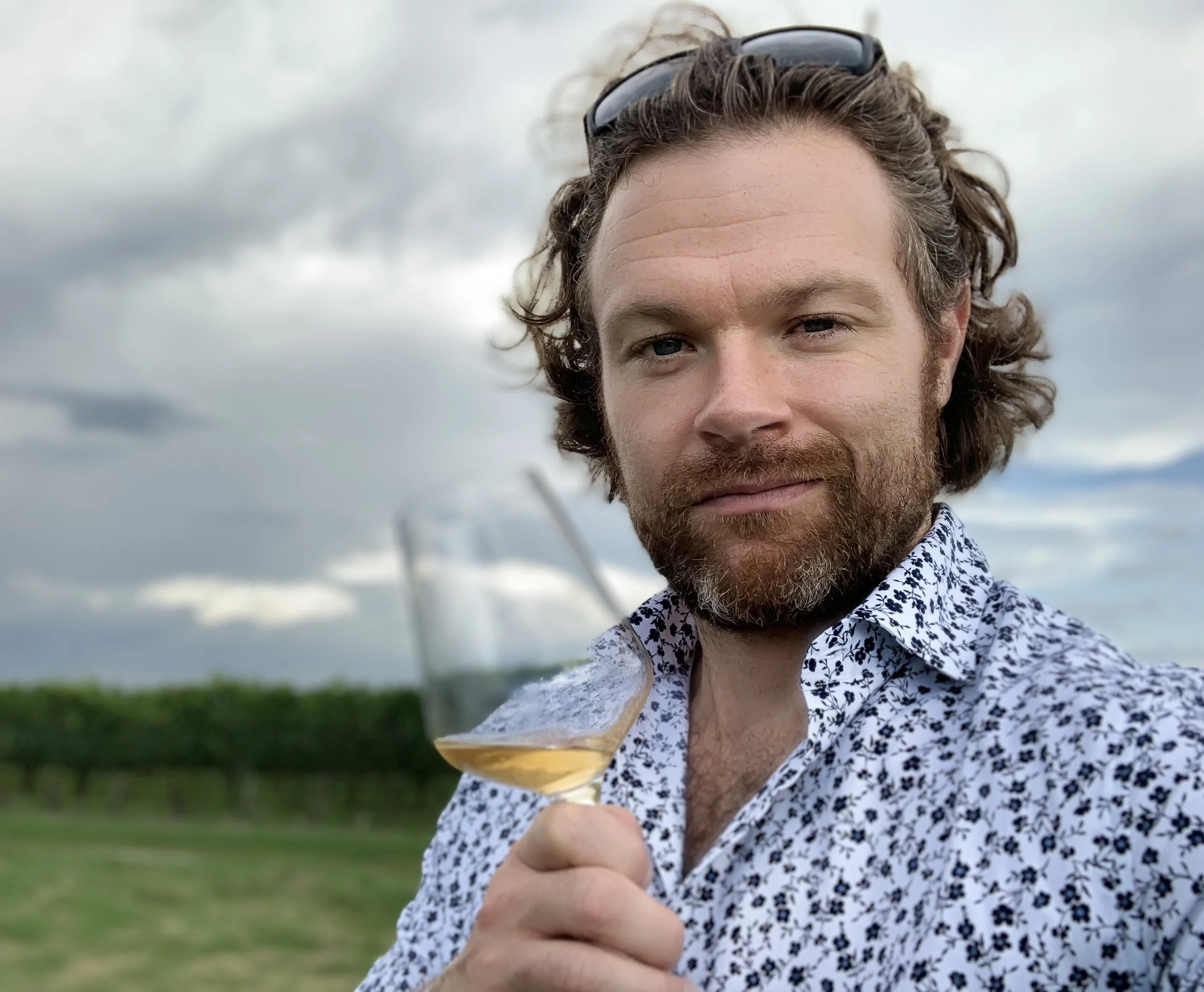 East End Vine: a vestige of Old Toronto 