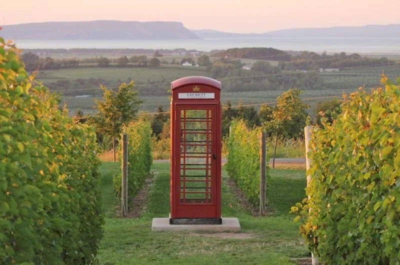 ANNAPOLIS VALLEY: WHY NOVA SCOTIA IS PRODUCING SOME OF CANADA’S MOST EXCITING SPARKLING WINES