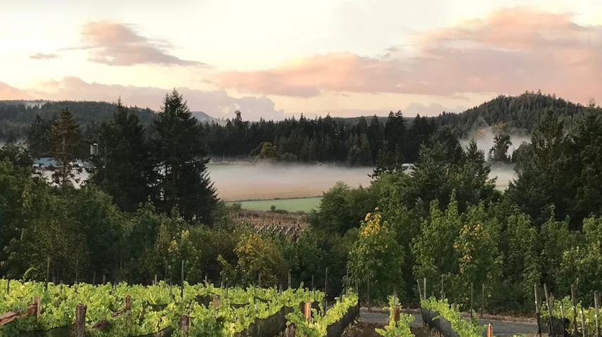 VANCOUVER ISLAND MIGHT BE CANADA’S MOST UNDERRATED REGION