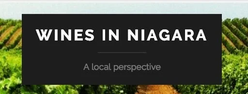 Text reads 'WINES IN NIAGARA: A local perspective' over a background of grapevines in a vineyard.