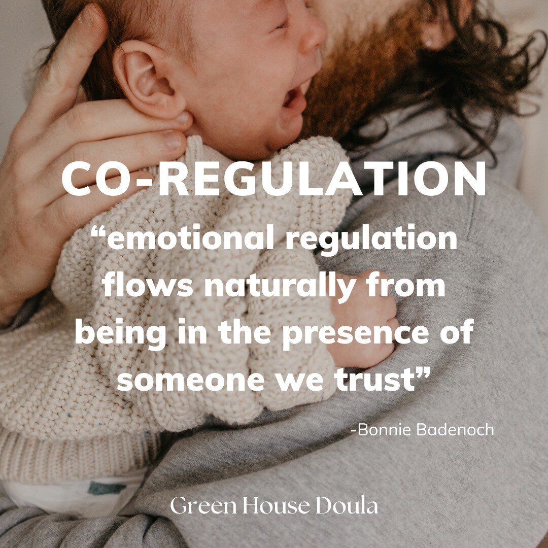 A parent&rsquo;s own self-regulation is a critical part of co-regulation. As adults, our babies and toddlers are relying on us to model helpful coping skills and emotional regulation, so that they can learn how to navigate themselves and the world. T
