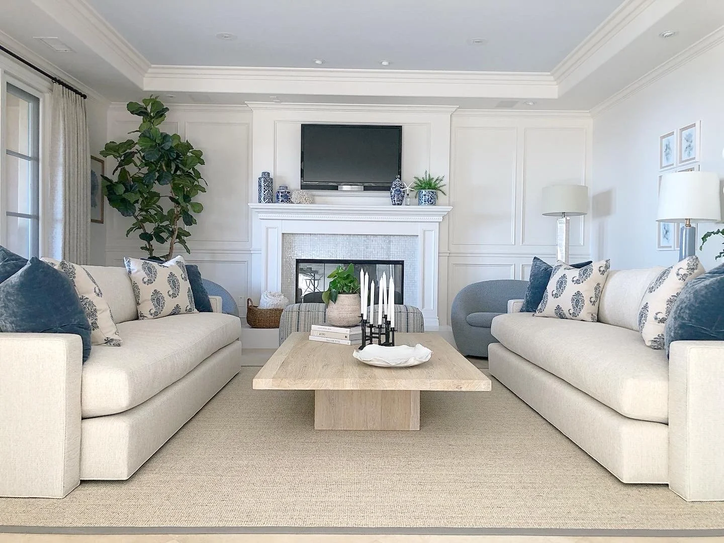 Beach Modern Organic Living Room