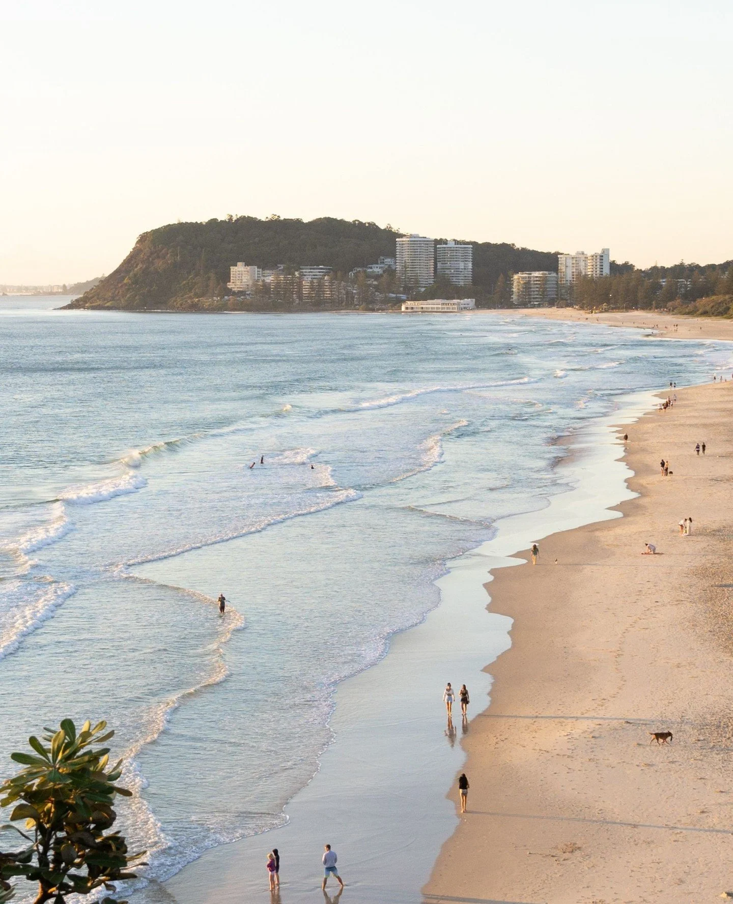 Peak Burleigh behaviour: slow mornings, salty afternoons.⁠
⁠
#BriqueProjects #GoldCoastProperty #PropertyDevelopment