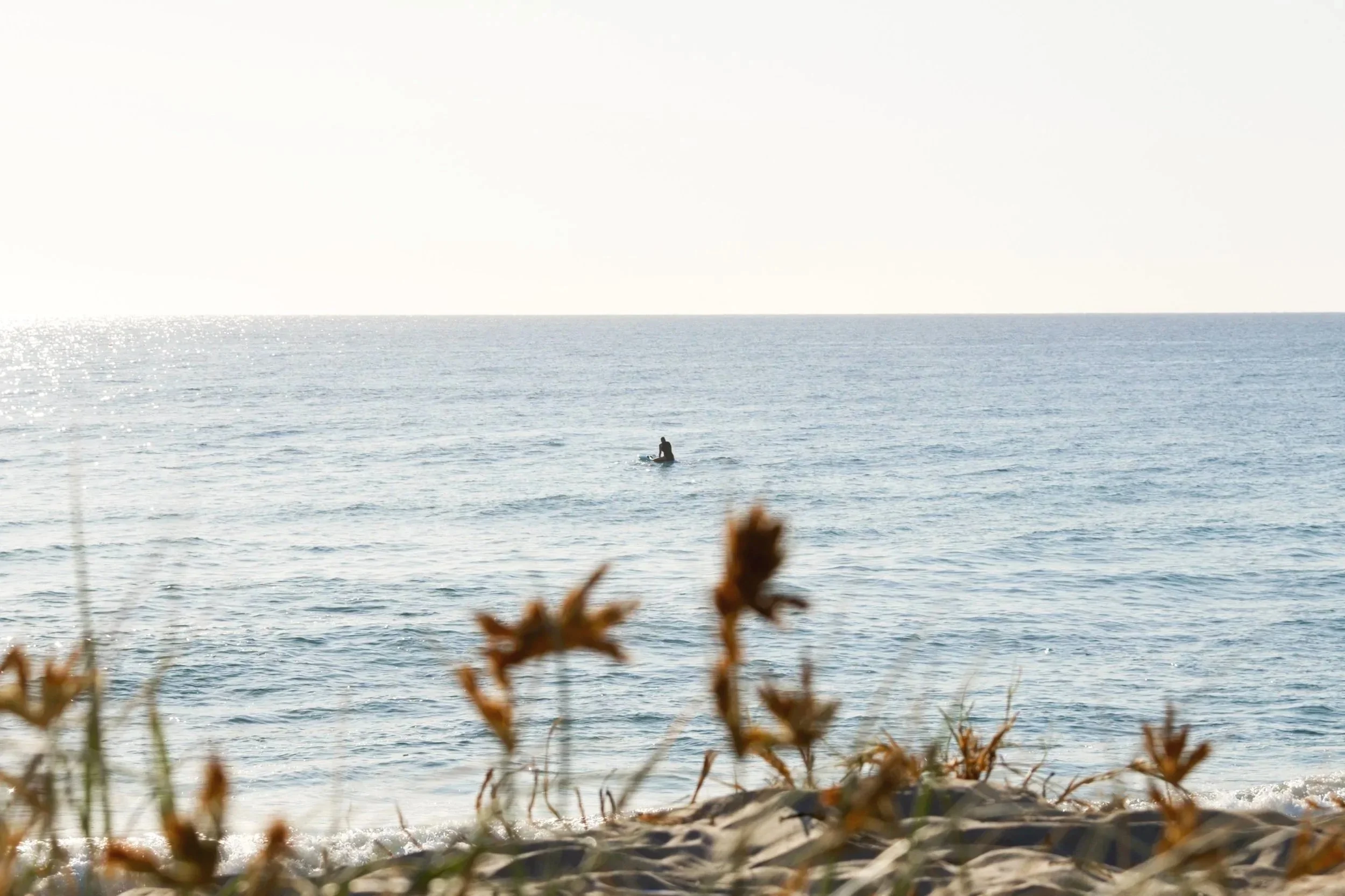 A person surfing on the ocean with sandy beach and some plants in the foreground, clear sky in the background.