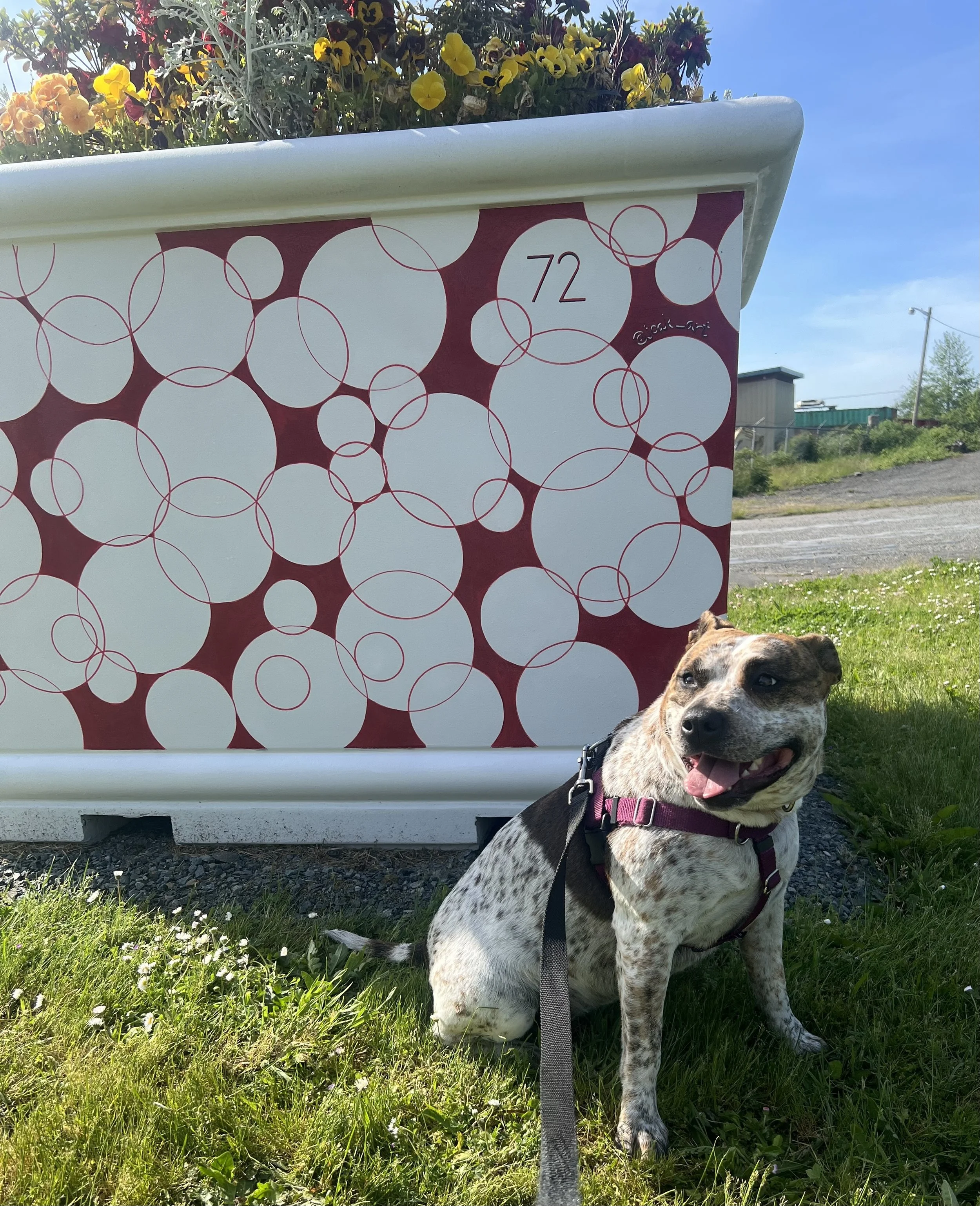 Snohomish City Public Works | 1st Street Planter Art Project | 1801 First Street | Snohomish, WA