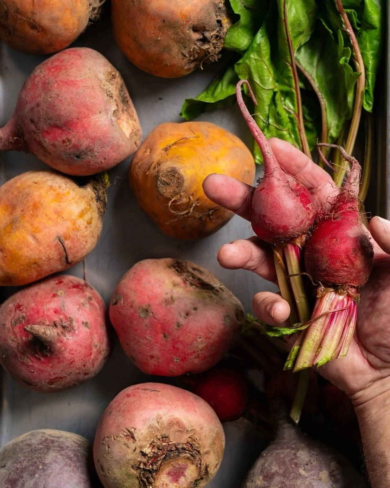 From farm to fingertips — every dish starts with fresh, local ingredients and the hands of our talented chefs. Hand-crafted, hand-made, and designed to delight your team. 💪🥬👨‍🍳
#CateringProvisions #ChefMade #CorporateCatering #FarmToTab