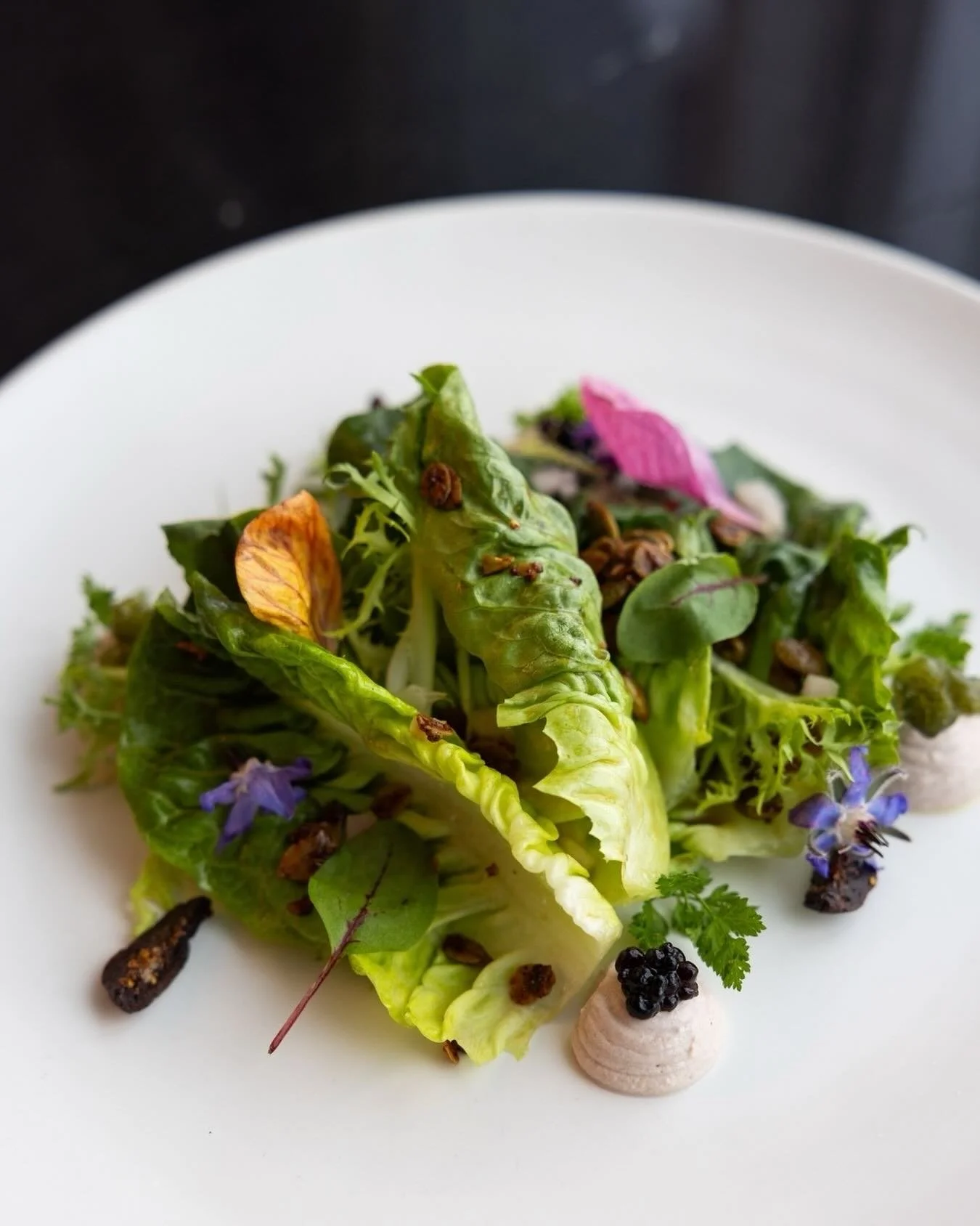A reminder that beauty on the plate begins with quality ingredients and thoughtful composition. 🥬
⠀⠀⠀⠀⠀⠀⠀⠀⠀
#RevelCatering #FarmToTable #CaliforniaCuisine #EatLocal #CulinaryCraftsmanship