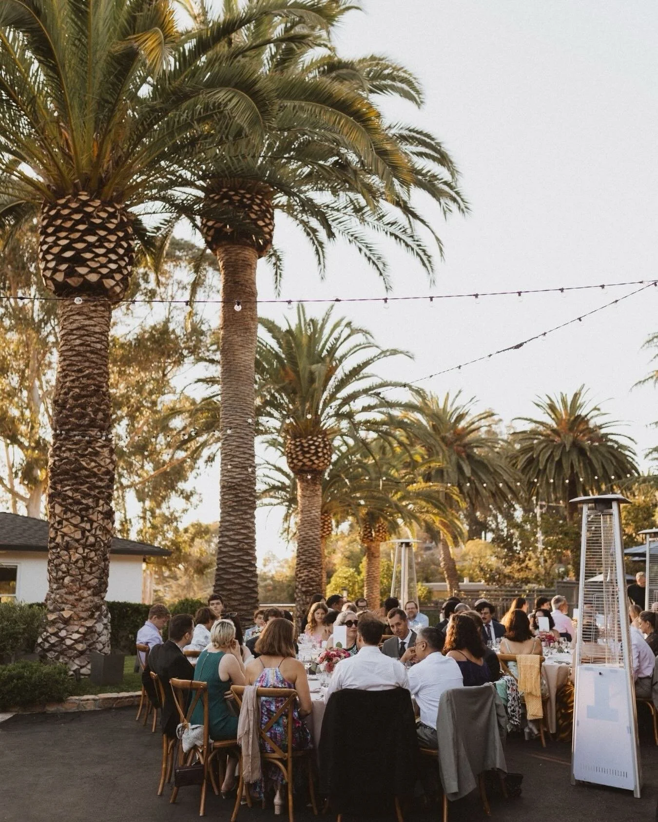 The recent Bay Area cold snap has us longing for summer events and al fresco dining... 🥶❄️ 
⠀⠀⠀⠀⠀⠀⠀⠀⠀
Elizabeth and Dan entertained their wedding guests outdoors under market lights strung palm-to-palm, doesn&rsquo;t get more California than that!
⠀