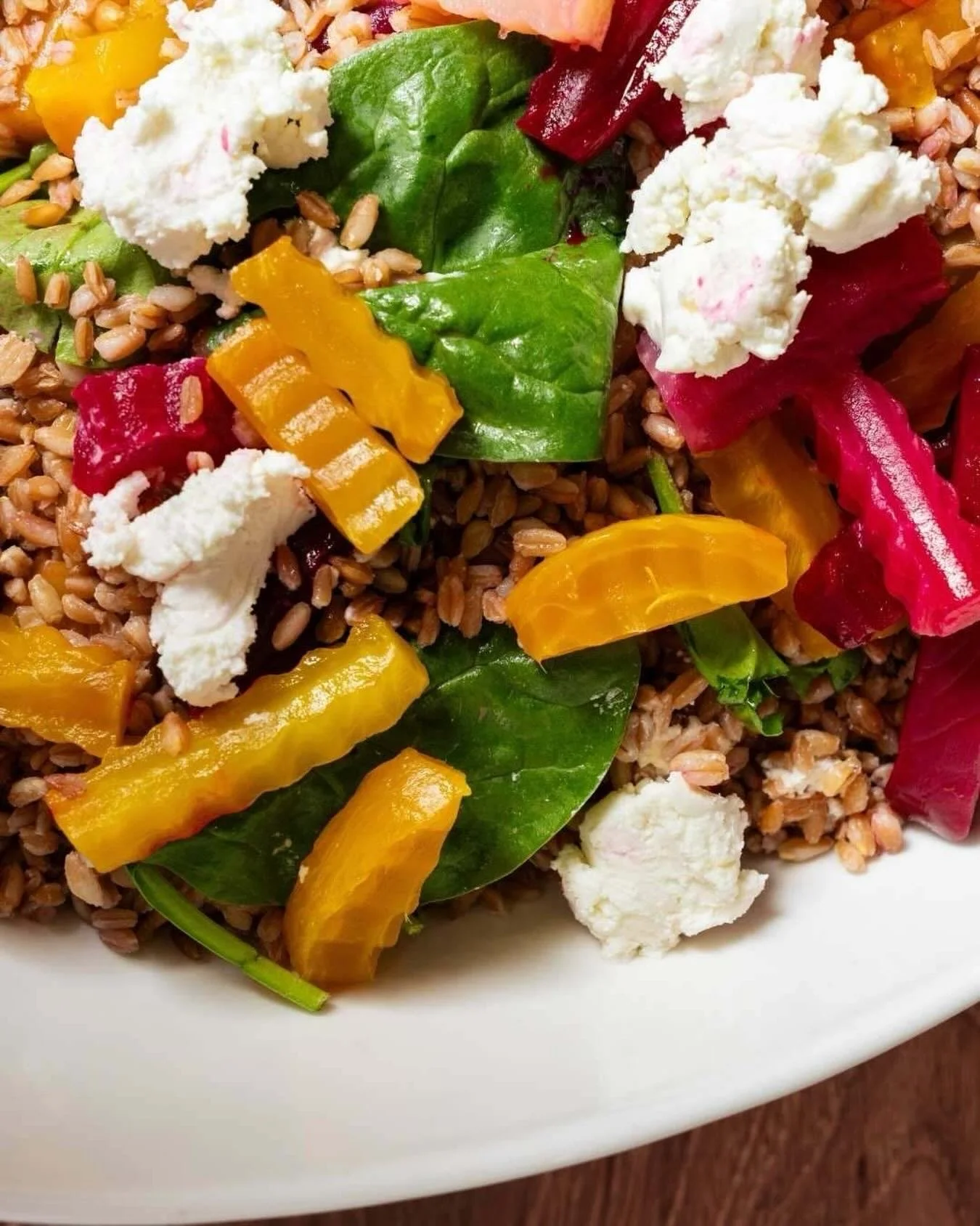 This time of year, even a beet salad looks like holiday d&eacute;cor. 🥬 🫜Beautiful colors, fresh flavors, and festive cheer in every bite.
⠀⠀⠀⠀⠀⠀⠀⠀⠀
Wishing you and yours a very Merry Christmas and a Happy Holiday Season!
⠀⠀⠀⠀⠀⠀⠀⠀⠀
#catering #merry