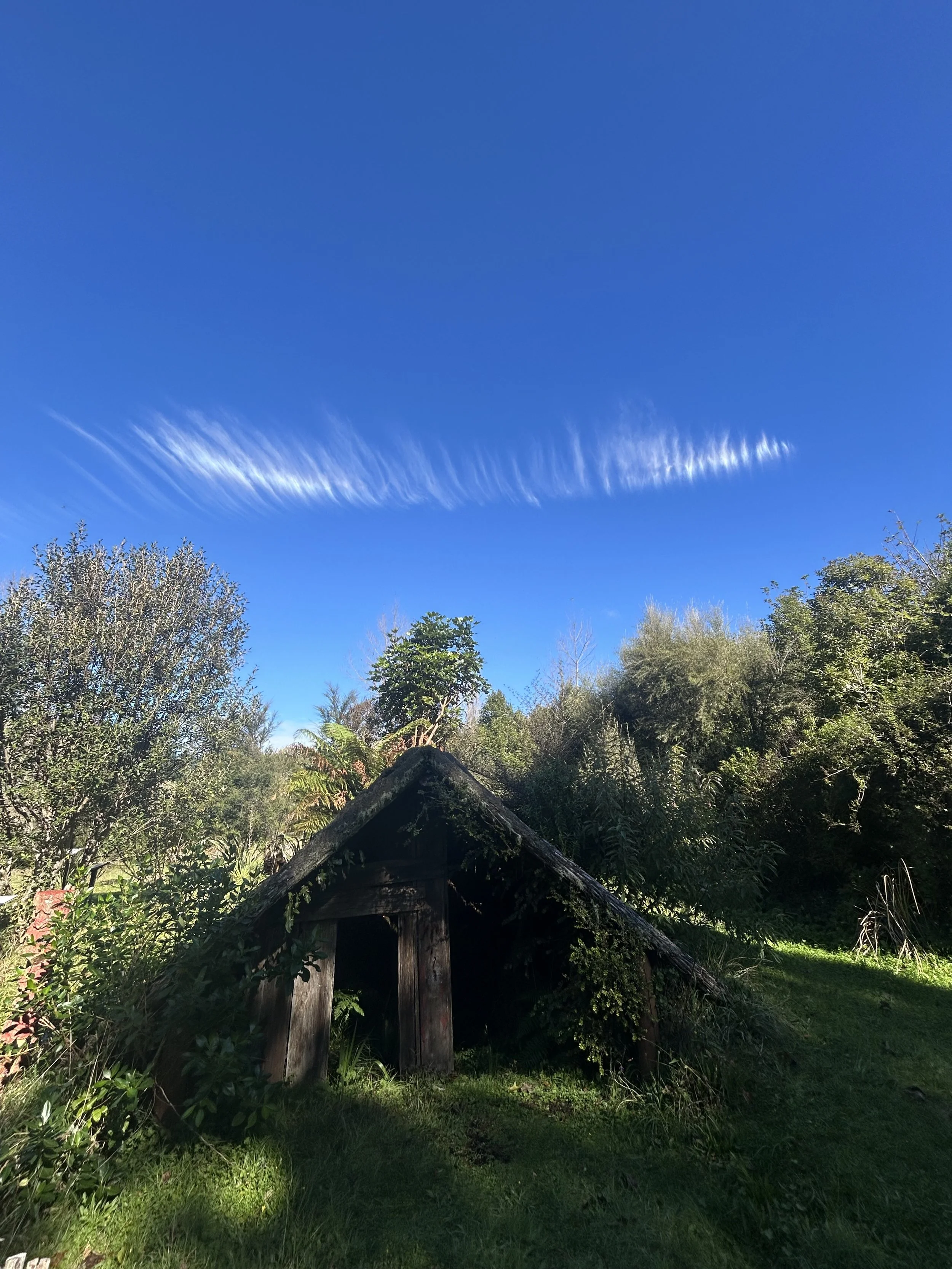 IMG_9621.jpeg