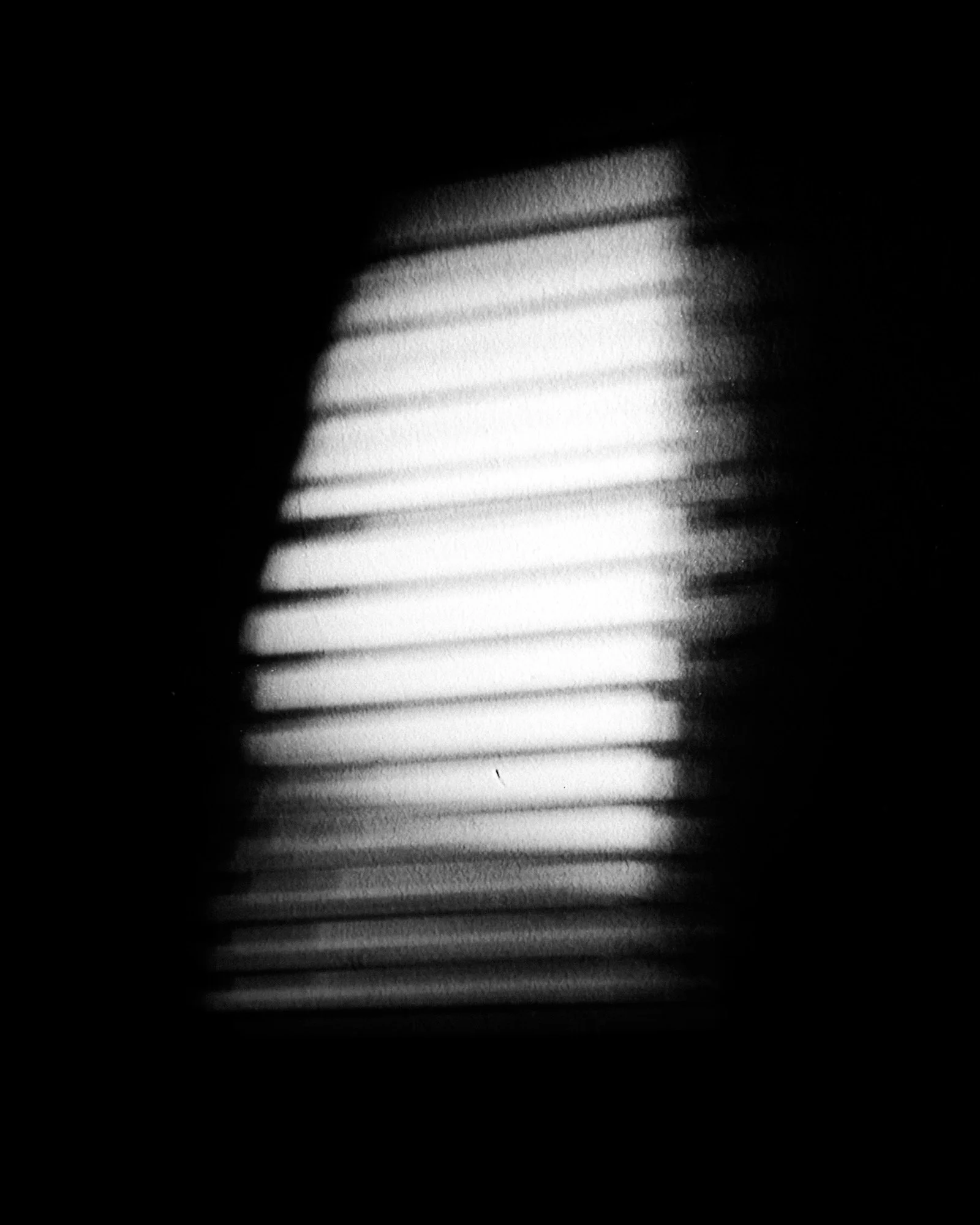 IMG_2526.jpeg