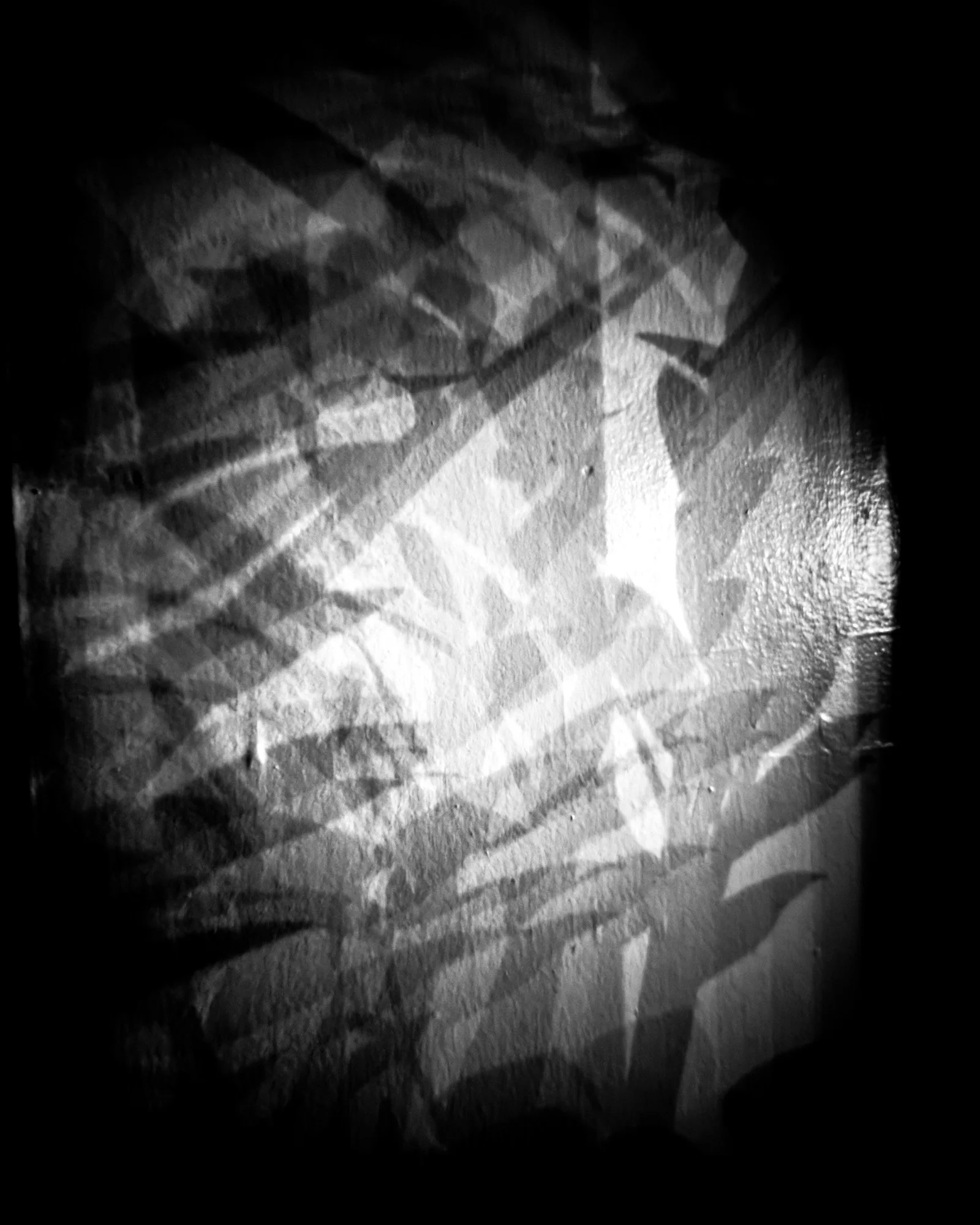 IMG_2524.jpeg