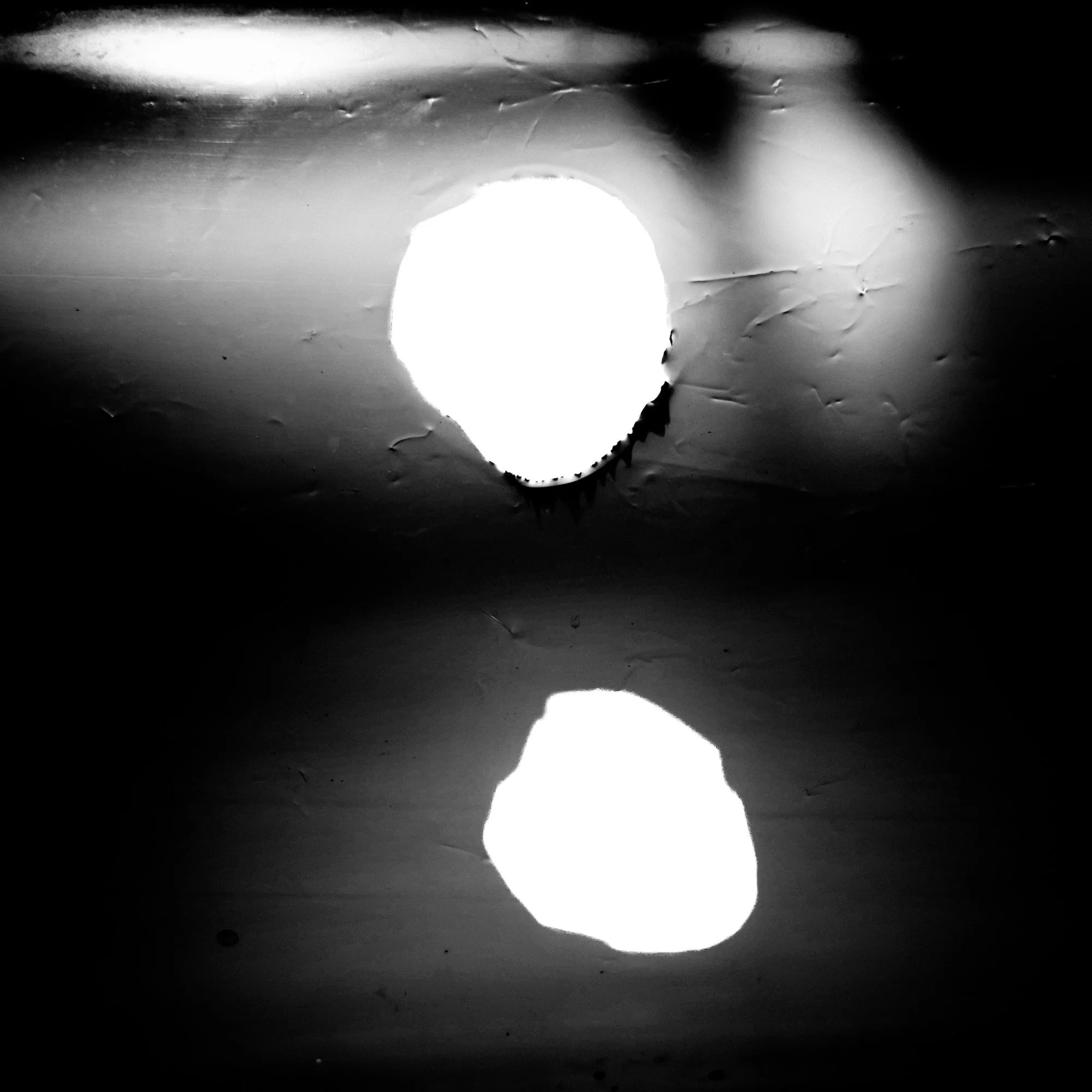 IMG_2719.jpeg