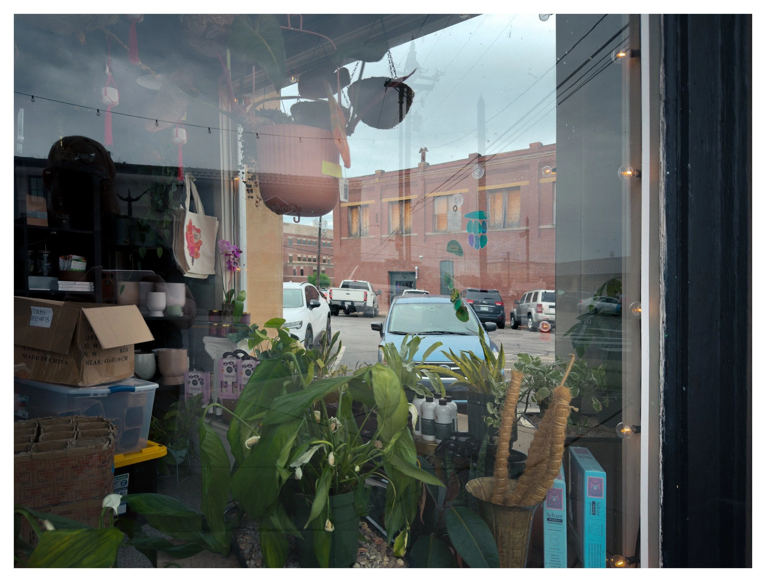 View through a window showing potted plants inside the shop, with a street scene outside including parked cars, brick buildings, utility poles, and a cloudy sky.