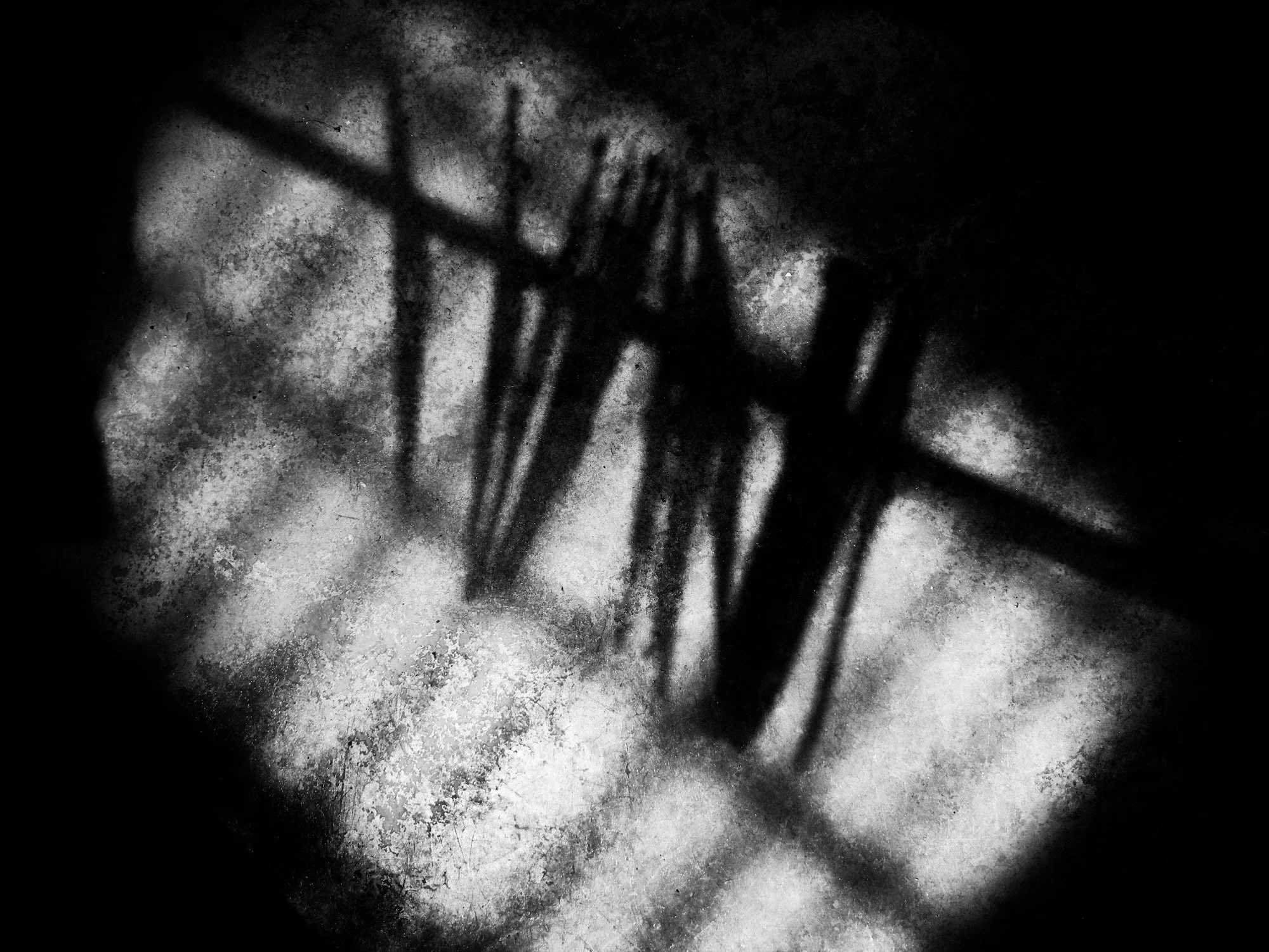 IMG_2707.jpeg