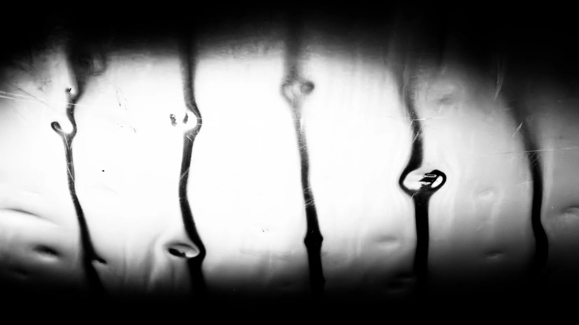 IMG_2738.jpeg