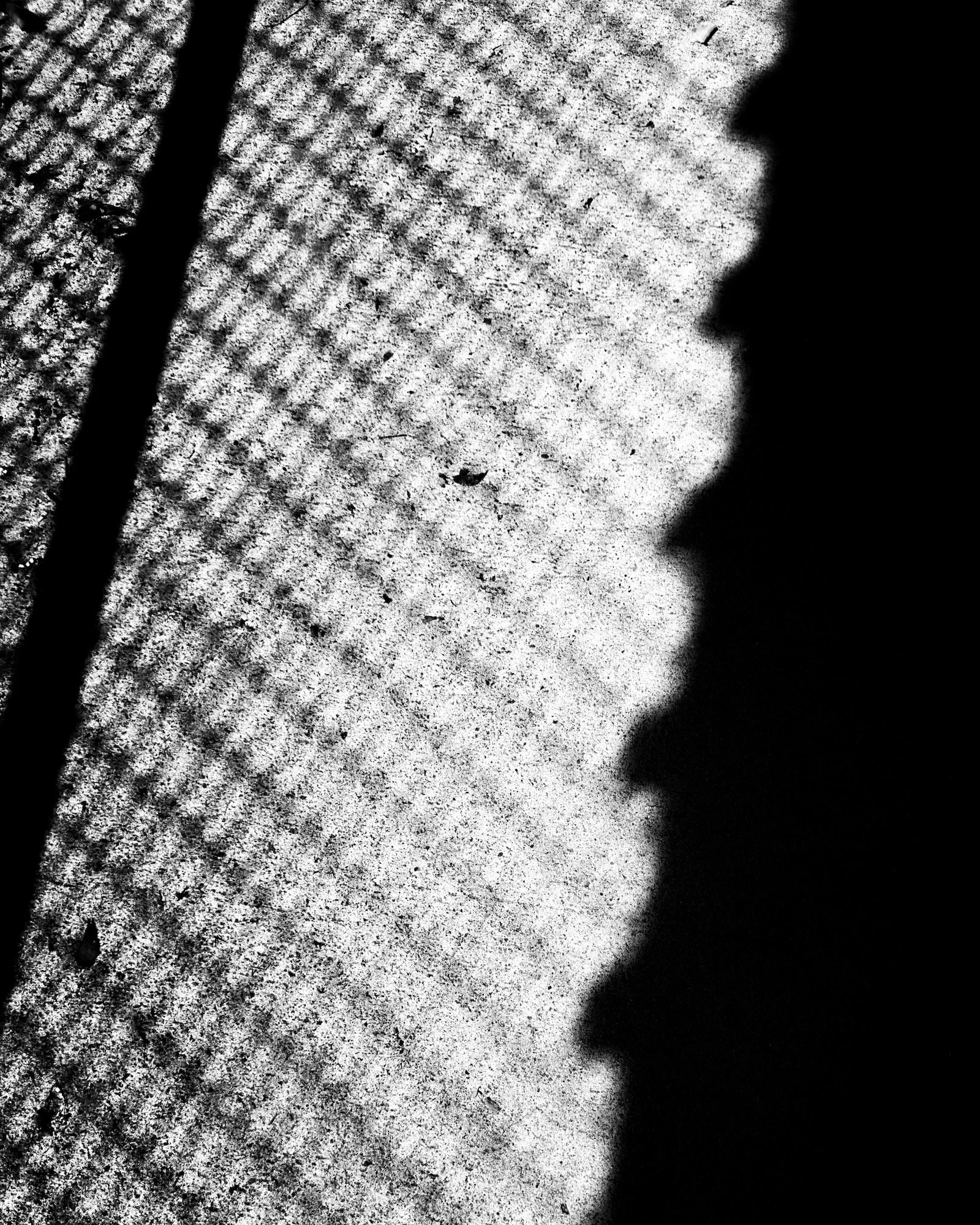 IMG_2731.jpeg