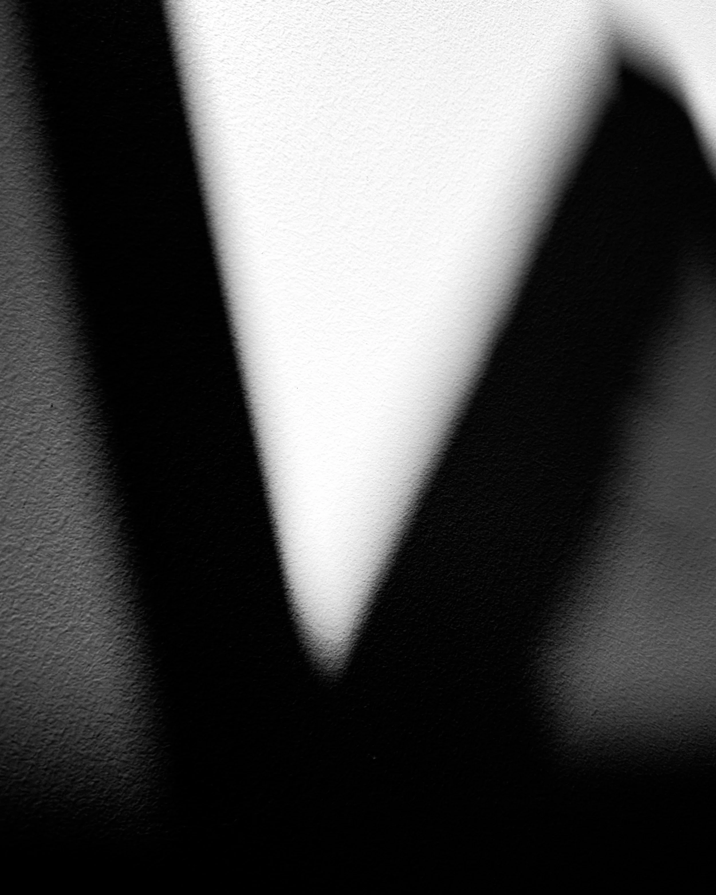 IMG_2027.jpeg