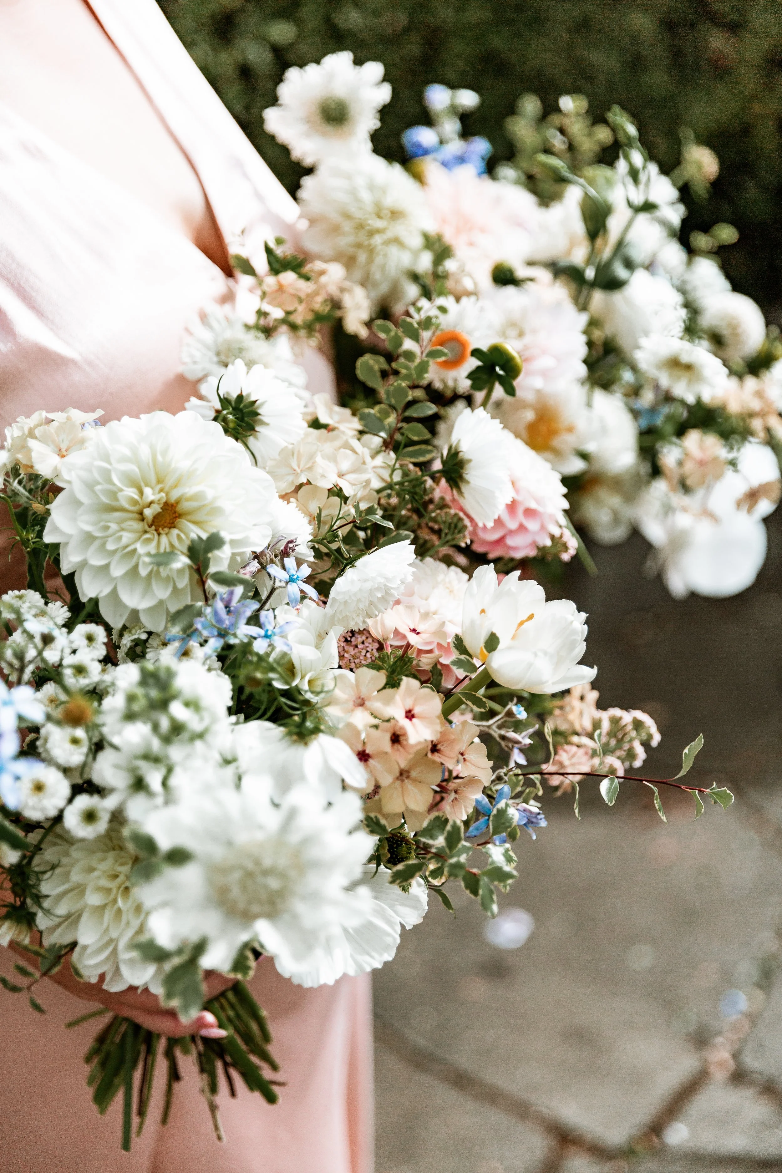  Images by Lisa Fisher Photography 