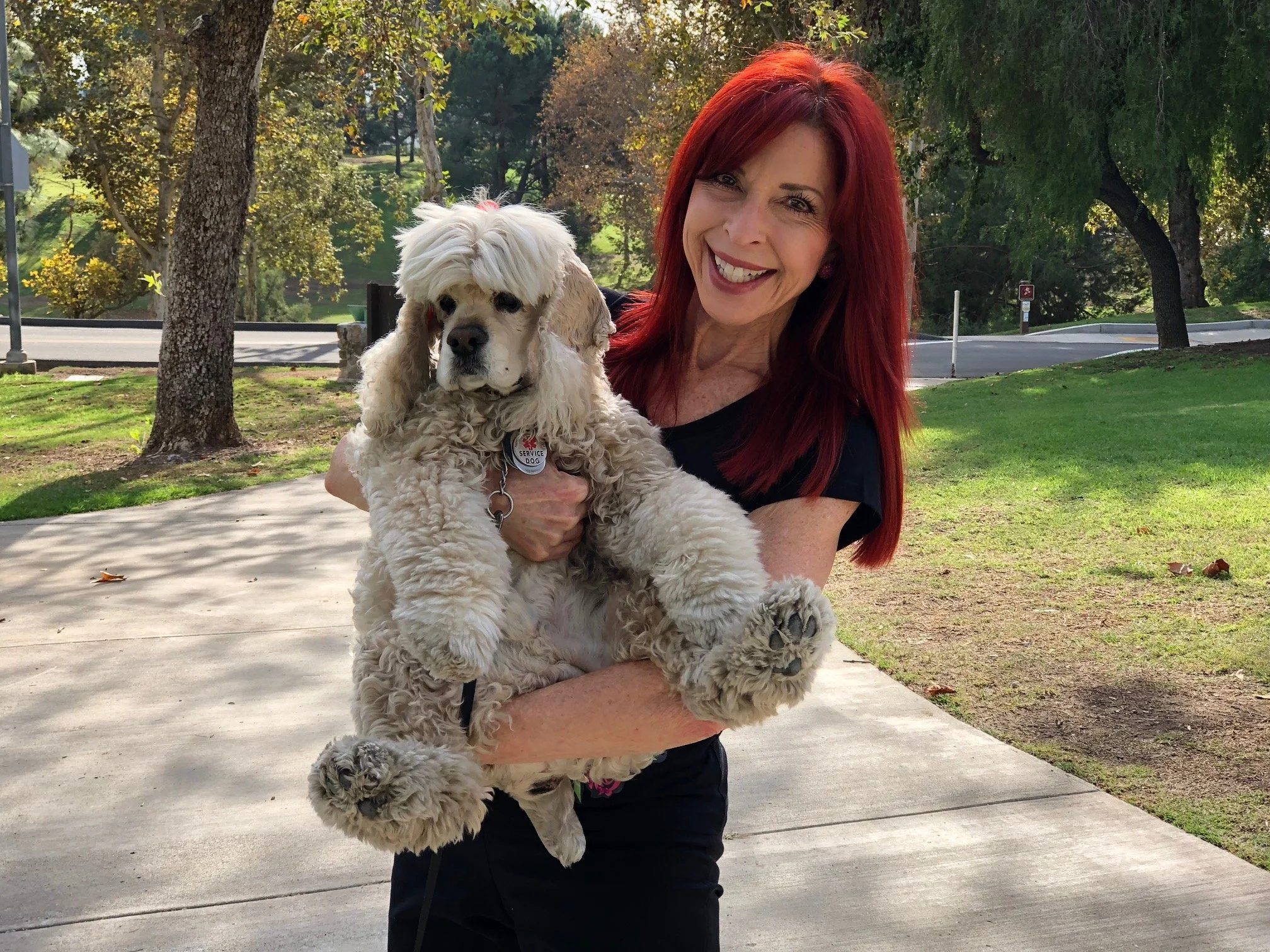 Barnes &amp; Noble Montclair