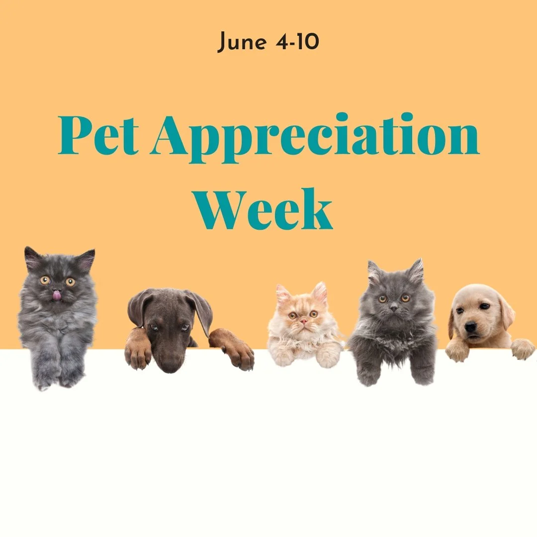 Pet Appreciation Week&nbsp;