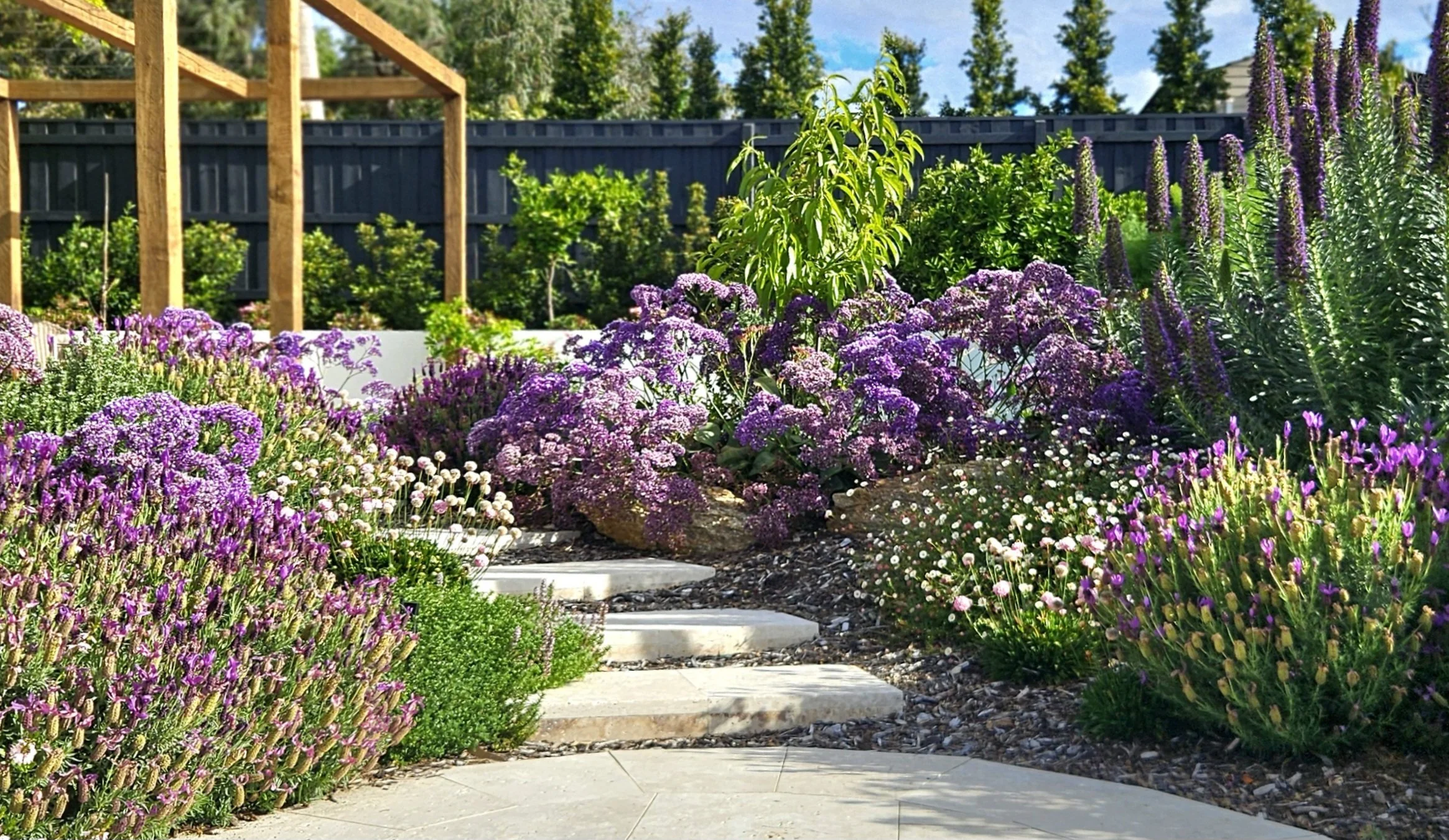 Limonium lavender and echium featuring in this seciton of the cottage garden 