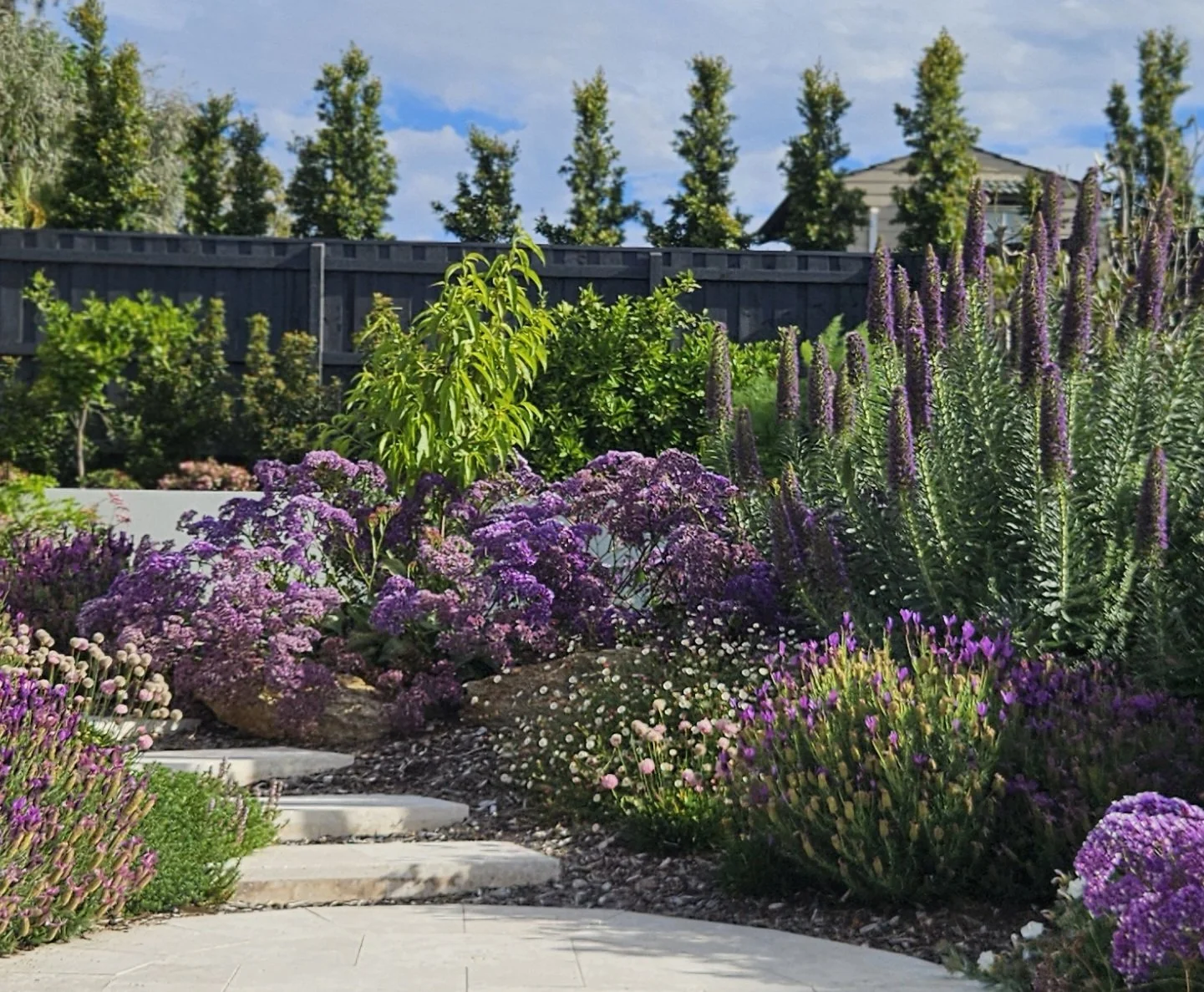 Meditteranean spring blooms