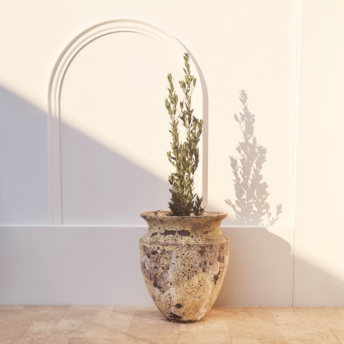 Rustic meditteranean planter with young bay tree - a project in progress!