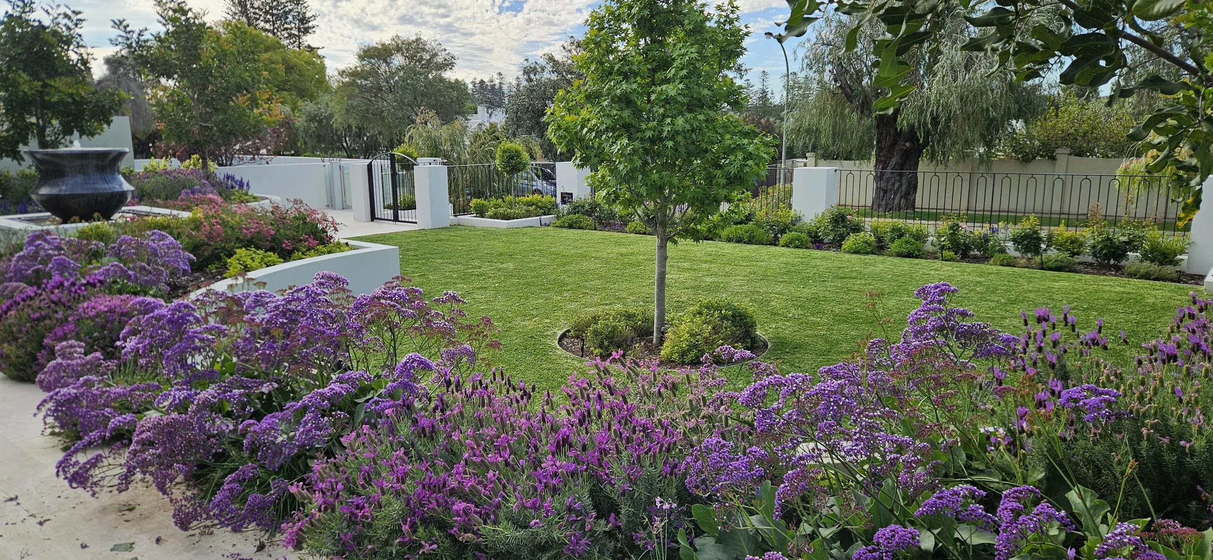 Spring Blooms in Peppermint Grove