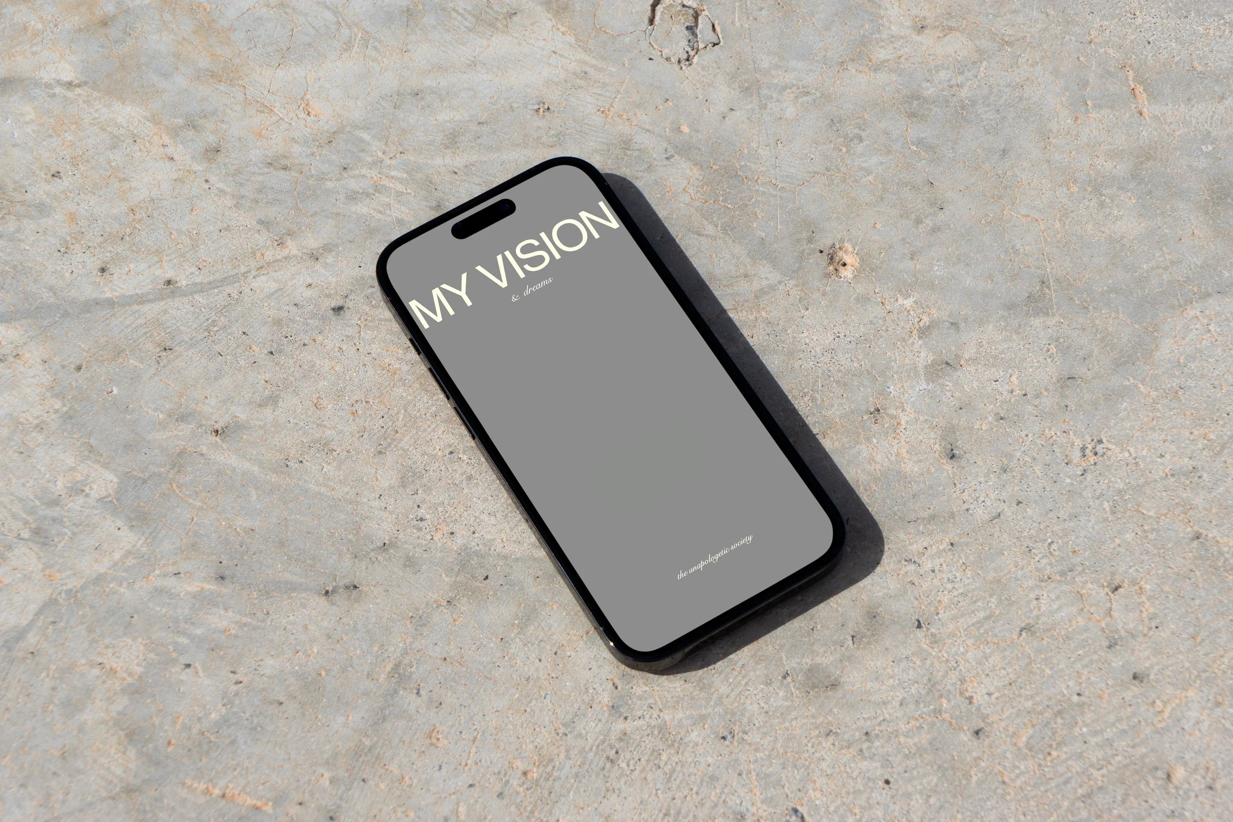vision phone smaller.jpg